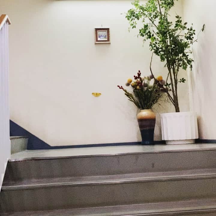 小川貴之のインスタグラム：「身動きをせず静かに壁に貼り付いていたこいつをみんなは偽物だと言った。施設の管理人さんの遊び心だと。 数時間後居なくなっていた。これも施設の管理人さんの遊び心か？ 否、、、 羽ばたいたのだ。今もきっと世界のどこかで貼り付いては休み、羽ばたくのだ。  #ハイヤーグラウンド MV撮影時の思い出 #ガチャガチャだと300円の景品サイズ #そもそも色すごない？ #校長先生の木の葉っぱの色かよ #小学校の時の蚕を育てたのを思い出す #蚕は桑の葉が好物」