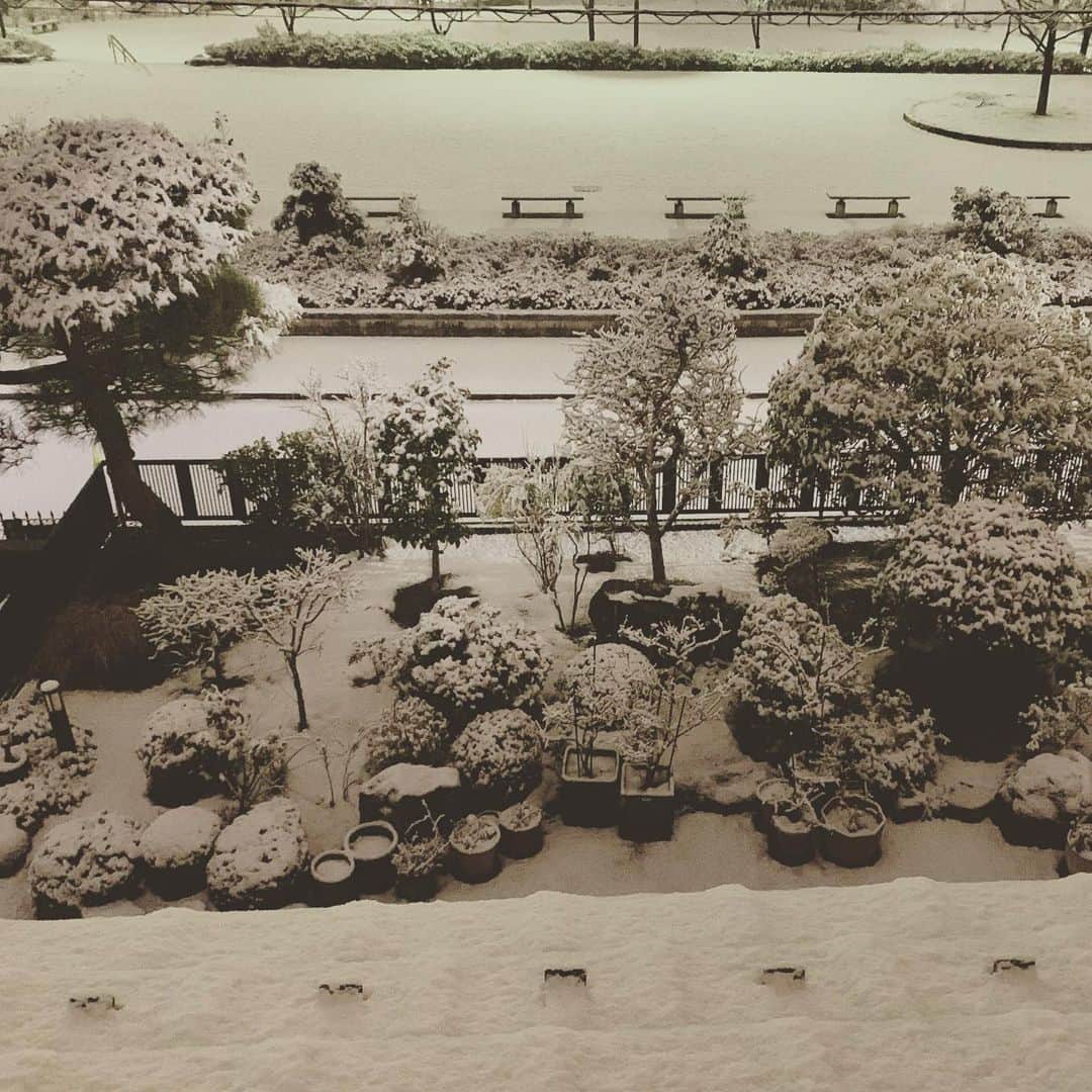 相澤樹さんのインスタグラム写真 - (相澤樹Instagram)「お正月休みも終わりだなー。雪が降ってる。たまらない美しさだな。心も体もリフレッシュ。自分の部屋からの景色が好きだ。 心が凛とする。雪の夜の空気感。」1月8日 1時18分 - mikitiaizawa