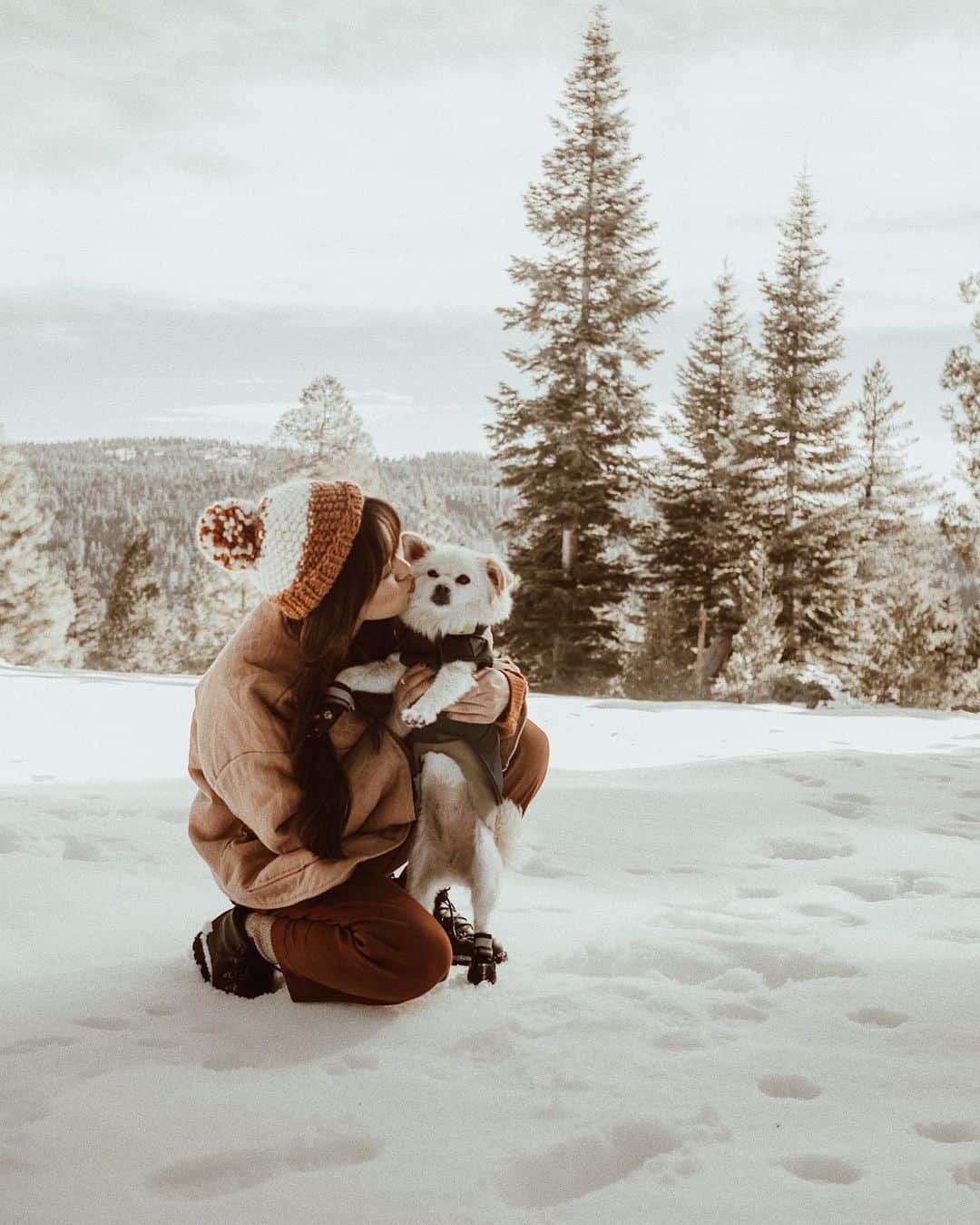 W E Y L I Eのインスタグラム：「First time in the snow with the doggies, but turns out they are not impressed 🤷🏻‍♀️」