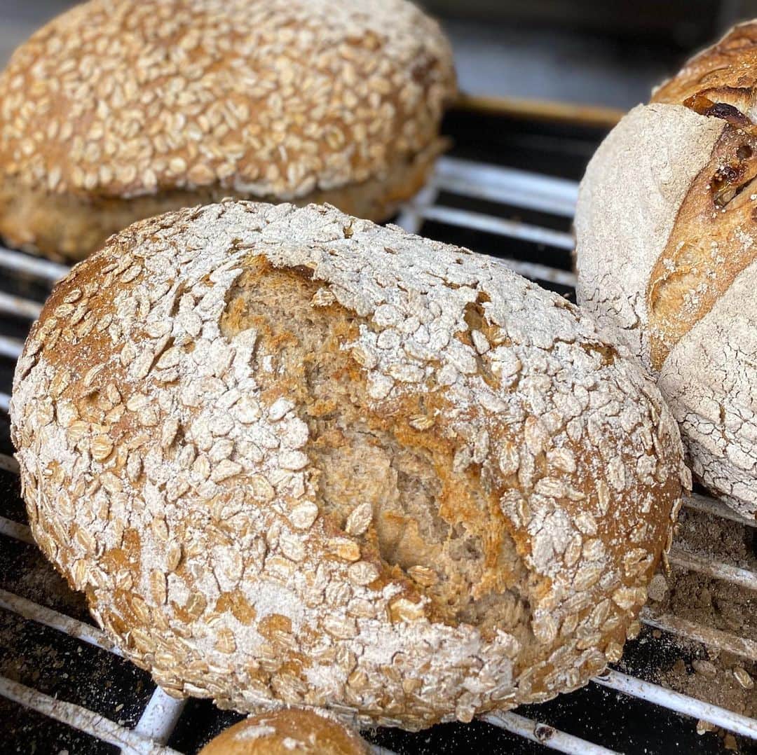 魔女菅原さんのインスタグラム写真 - (魔女菅原Instagram)「フロッケンブロート✨  フロッケンは押麦のこと、ライフレークをまぶしたライ麦パンです。 ライ麦パンはライ麦粉と小麦粉が主に使われますが、このパンはライ麦全粒粉と小麦全粒粉が加わって、75%ライですが高加水で食べやすいライ麦パンです。  #フロッケンブロート #ライフレーク #ライ麦パン #roggen #自家製ライサワー #自家製天然酵母のパン屋さんカンパーニュ  #魔女菅原」1月8日 13時10分 - hatsuyosugawara