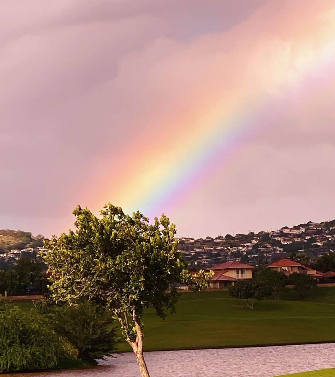 アンミカさんのインスタグラム写真 - (アンミカInstagram)「オアフに到着してからも、虹🌈とのご縁が続いています😊 。 聖書の言葉をおもいだします。 。 #旦那様と虹のペアはたまりません🌈❤️ #機内からも虹が迎えてくれました🌈✈️ #朝も晩もゴルフ中も虹🌈✨ #旦那様と小平智選手のゴルフ中も私の練習ラウンド中も🏌️‍♂️🌈 #聖書においての神と人との約束が虹🌈 #虹が現れるとわたしはそれを見て全ての生き物との間に立てた永遠の契約を心にとめるby聖書」1月8日 13時35分 - ahnmikaofficial