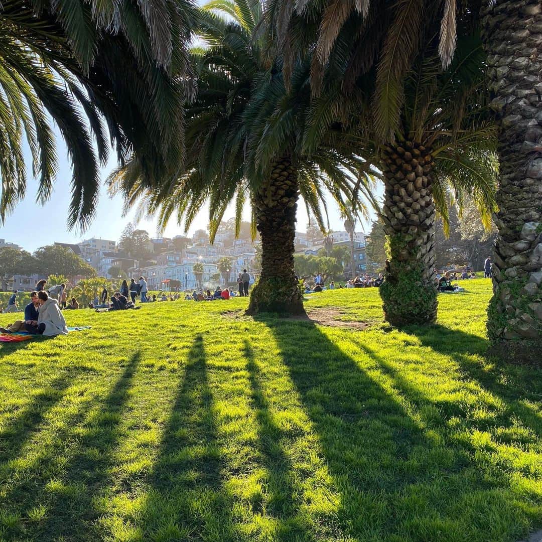 藤森慎吾さんのインスタグラム写真 - (藤森慎吾Instagram)「こちらも人生初のサンフランシスコ 街並みや人がとても素敵でした。 休日は公園の芝生で家族や友達と喋るのだそうです。 小峠さんがサンフランシスコのクラムチャウダーは絶対食った方がいい！というので、食べましたが、それはとても普通でした。」1月8日 13時37分 - fujimori_shingo0317