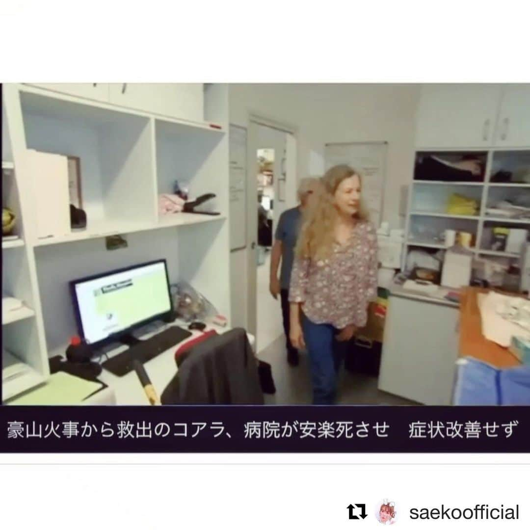 FashionDreamer Dさんのインスタグラム写真 - (FashionDreamer DInstagram)「#Repost @saekoofficial ・・・ She wrote about the Australia koalas. I agree she’s opinion. It’s japanese sorry 🇯🇵. ． 非常事態宣言が出され、未だコアラなどの野生動物たちがたくさんの命を落としているオーストラリアの火災をみなさんご存知でしょうか。 年末年始、日本ではオーストラリアで起きている現状を報道で目にすることがほぼなかったこともあり、勝手に鎮静に向かっていると思っていた森林火災が今もなお激化しているということを、久しぶりに開いたSNSや海外に出るとたくさん報じられており、私も改めて知ることができました。 日本のテレビでは、放送されている題材の優先順位に疑問をもってしまう報道が多いことに、もっと私たちが知らなければいけない大切なことがあるのに...と、いろんな意味でとてもショックを受けております。  写真に載せたオーストラリアのマップは、政府機関系のサイトMyFireWatchが発信している情報で、オーストラリア全土で2020年1月4日から過去72時間以内に起きた山火事の状況が記されています。 1月4日だけでも、ニューサウスウェールズ州では140箇所以上で山火事が起こっており、その半数以上が制御不能。気温40度を超える中、3000人以上の消防士やボランティアの消防団員が消火活動にあたっていらっしゃるとのことですが、事態の終息には程遠いのが現状で、熱と煙の中で命がけの活動が連日続いています。  地震や津波で海外からも沢山の支援を受けた日本。 このオーストラリアの危機に恩返しの気持ちも込めて動く時だと感じ、私も2つの支援先に寄付をさせて戴きました。  同じ思いの方で寄付先を悩まれていらっしゃる方がおりましたら、ひとつの選択肢として参考にしていただければと思います。  私が今回寄付したのは、ニューサウスウェールズ地方消防局のボランティア消防団たちへの支援先と、ポートマッコーリー·コアラ病院が開設したGoFundMeというオンライン募金サイト。  １つ目の支援先のニューサウスウェールズ地方消防局は、ボランティアベースで機能している州政府の法定機関で、ボランティアの消防団員は仕事を休み、無給で地元の消火活動に当たっていらっしゃいます。 この方達の協力無くして復興は考えられず、個人に多額な負担となっていることも想像に難くないので、微力ではありますが皆さまの活動が続けられるチカラになれたらと思い、こちらに寄付させていただきました。  2つ目の支援先であるポートマッコリー.コアラ病院は、今後集まった寄付金で環境・エネルギー省と連携を図り、コアラの保護、水飲み場設置などの生息地の再生、治療・リハビリ施設の建設に挑むとしておりますので、生息地の再生が最重要課題となっていることもあり、こちらに寄付させていただきました。  今までに5億匹の野生動物が命を落とし、そのうち8千頭は野生のコアラが犠牲となっているみたいです。 11月にSNS上でたくさん拡散されていたので皆さんも目にしたことがあるかもしれませんが、燃える森の中から通りがかった女性に救出されたひどい火傷を負った14歳になる雄コアラ「ルイ」もポートマッコーリー.コアラ病院で手当を受けておりました。 しかしルイはひどい火傷から症状の回復が見込めず、「動物の福祉を最優先させる」という観点から安楽死という決断が下されました。 この病院にはルイ以外にも沢山のコアラが手当てを受けており元気になったコアラ達もたくさんいます。 救出されたコアラが生息していた地域のユーカリの木は焼け尽くされているのが現状で、コアラの保全状態は絶滅危惧種の前段階である「危急種」に分類されると評価されるくらい危機的状況です。  こちらのサイトでの支援金に関しては、自身で金額設定ができ、子供達もお年玉やお小遣いが許す範囲で寄付できるので、学校に戻った息子たちにも次会った時に話してみたいと思っています。  今まで地球からのたくさんの恩恵を当たり前のことのように受けてきた私たち人間が、生かされている者として地球に対して何をしていかなければならないのか、みんなで真剣に考えなければならない時がきていることを痛感させられるこの自然災害の多さと規模の拡大。  救助・復旧活動に取り組まれている全ての関係者の方々に対し、心からの敬意を表します。 そして、1日も早い鎮火と皆さまの安全をお祈り致します。 #prayforaustralia #koalahospital #koalahospitalportmacquarie」1月8日 14時08分 - d_japanese