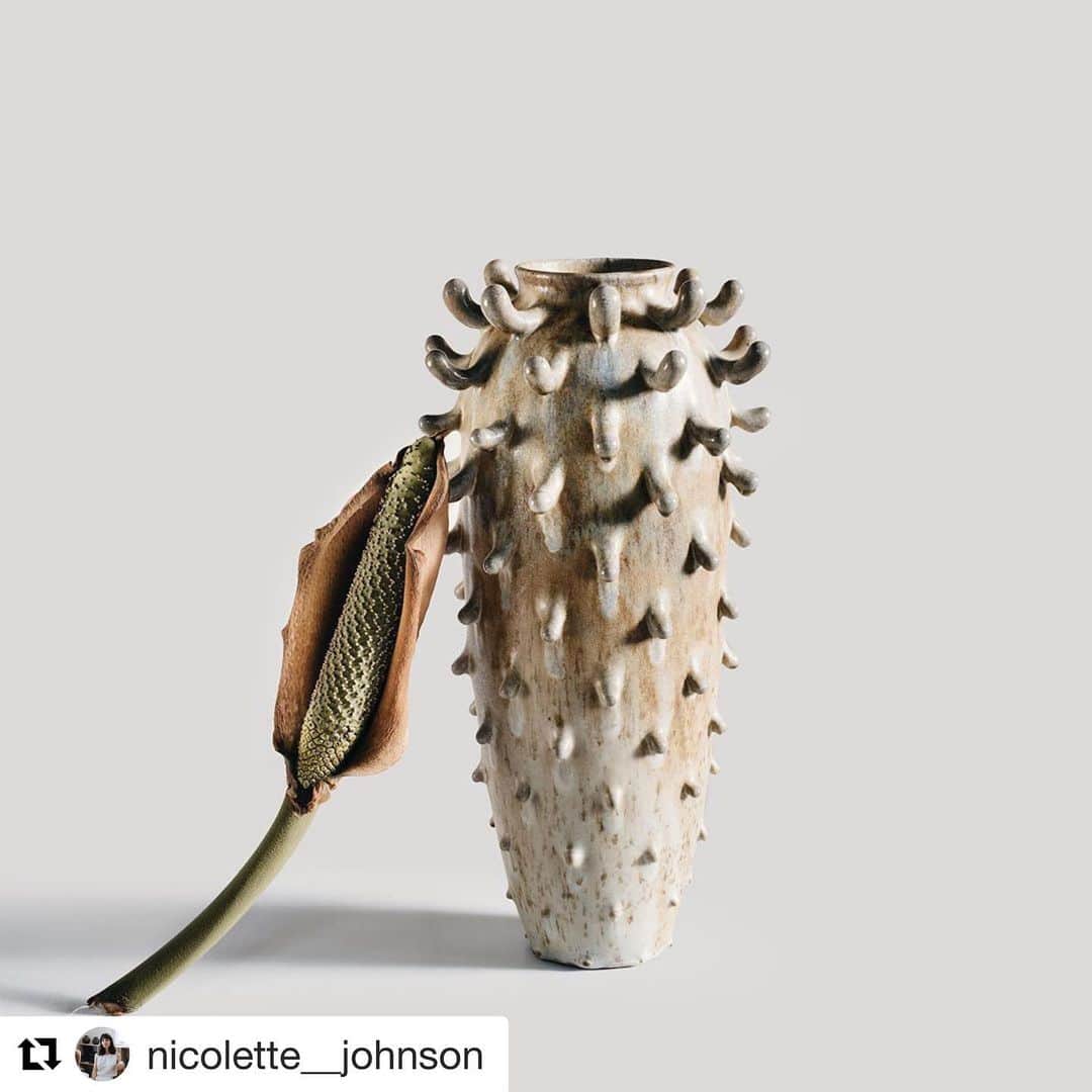ファイン・フレンジーのインスタグラム：「This beautiful vase is on auction to benefit wildlife in Australia. Someone please buy it and send me a photo of it full of flowers 🌸 thinking of the millions of animals have died in the wildfires makes me feel sick. I was just there and was constantly bowled over by the creatures great and small. I can’t bear it. Link in bio to donate directly to WIRES wildlife rescue, or go to @nicolette__johnson for the auction x ・・・ BUSH FIRE ART AUCTION - CURRENT BID $3,500.00AUD - I have felt utterly heartbroken and paralysed these past few months as the fires in our country continue to burn without an end in sight. It is estimated that 500 MILLION mammals, birds, and reptiles have died in the fires that have been burning for months now. It is hard to fathom just how immense this loss is. My husband @tomdawson.com.au and I have donated to @wireswildliferescue but I’d like to be able to do more. So, I will be auctioning this one of a kind wood fired stoneware vase, valued at $2,750.00AUD, and will donate 100% of the winning bid to @wireswildliferescue who are working so hard to do their part in saving our incredibly special and diverse wildlife. _________________________________  HOW TO BID: Please offer your bid in the comments of this post. Bidding will start at $500.00AUD. International bidders are welcome, although I can only cover shipping costs throughout Australia, any other locations will have shipping costs added after bidding has ended.  Auction will end at 5pm AEST (Brisbane) on Sunday January 12, 2020. Please bid generously as this cause is incredibly important. And if you can, please share. Thank you!  x Nicolette _________________________________  DETAILS: Tall Frilled Vessel, 2018. Wood fired stoneware, 43cm H, 22cm W.  _________________________________ #ceramics #australianceramics #contemporaryceramics #contemporaryclay #loveceramic #ozfireartauction #nicolettejohnson #potteryispolitical #pottery」