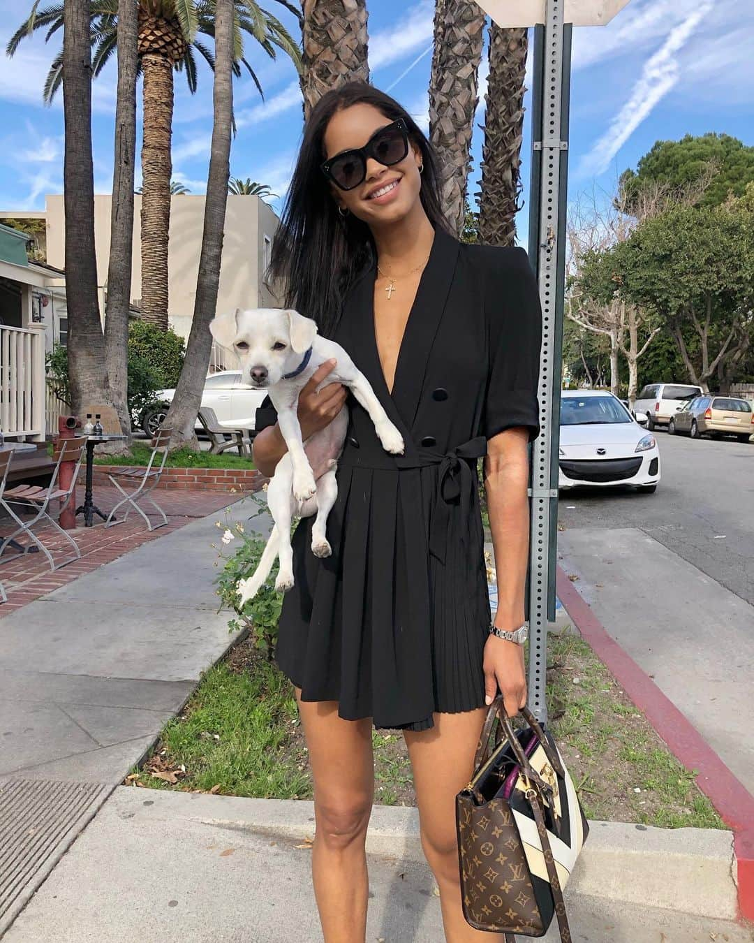 scottlippsさんのインスタグラム写真 - (scottlippsInstagram)「He makes a great fashion accessory @milolipps and @daianesodre Brazil in LA! @lippsla at the @wework headquarters #puppy #love #la #brazil」1月8日 6時42分 - scottlipps