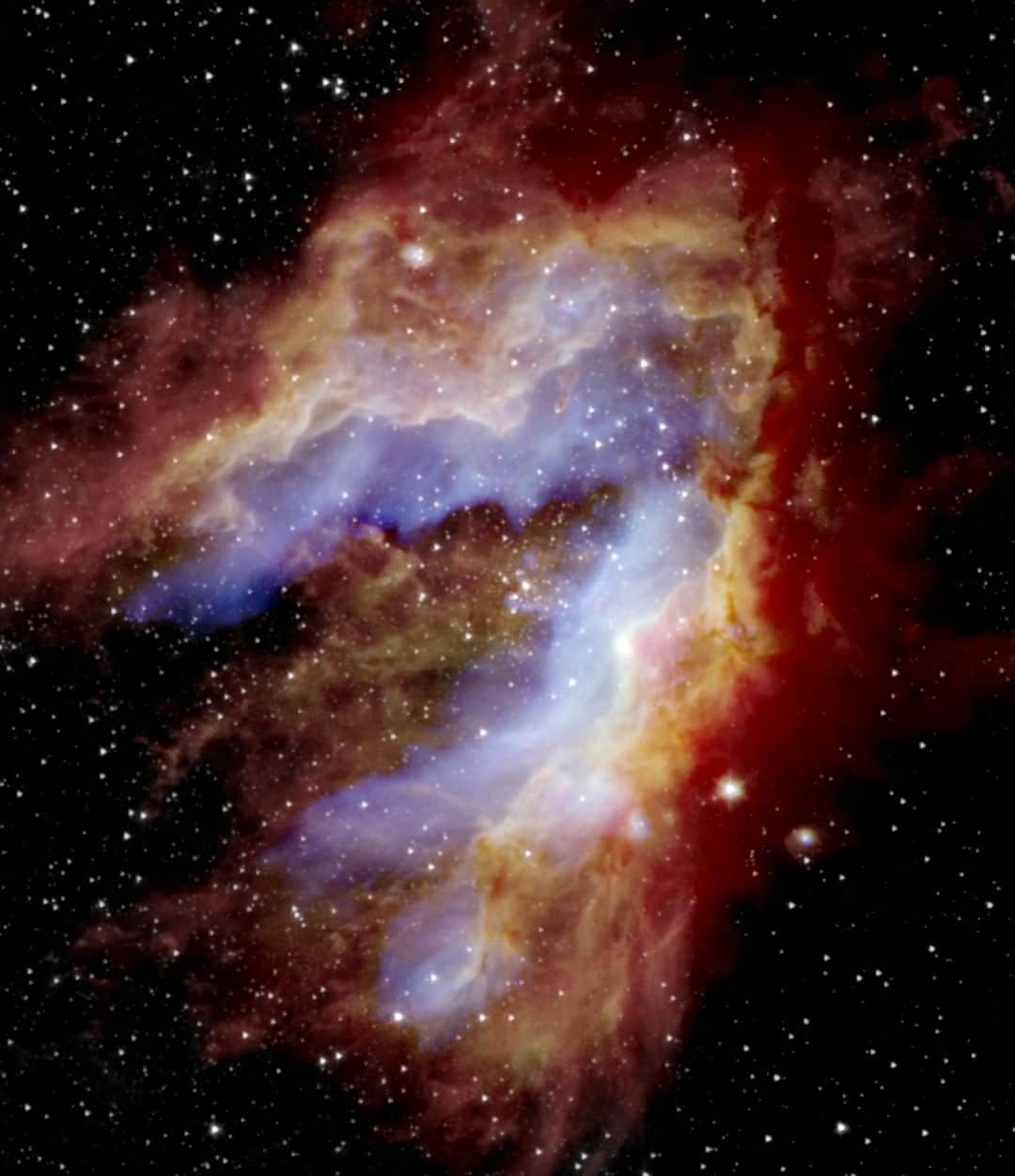 NASAさんのインスタグラム写真 - (NASAInstagram)「Unveiling the secrets of the Swan Nebula 🦢⁣ ⁣ One of the most massive star-forming regions in our galaxy came to resemble the shape of a swan’s neck only relatively recently. ⁣ ⁣ This new image from the Stratospheric Observatory for Infrared Astronomy, or @sofiatelescope, is helping scientists chronicle the evolution of this awe-inspiring nebula. Click the link in the bio for more info ⬆️⁣ ⁣ Credits: NASA/SOFIA/De Buizer/Radomski/Lim; NASA/JPL-Caltech; ESA/Herschel⁣ ⁣ #NASA #Space #Nebula」1月8日 7時00分 - nasa