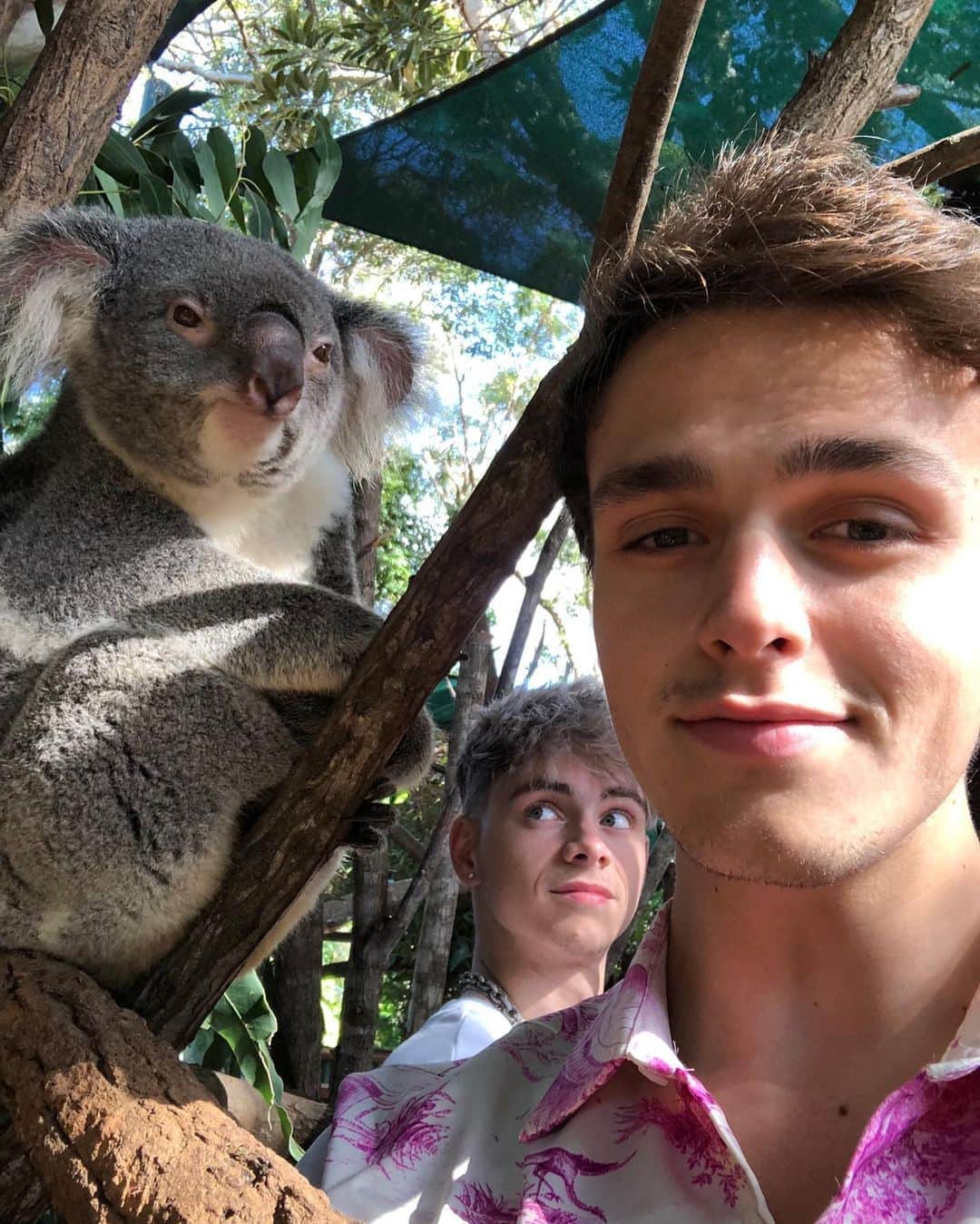 のインスタグラム：「hoping this lil guy’s okay. i just donated to helping with the australian fires. we all gotta do what we can. i encourage all of you guys to donate as well even if it’s a small amount. sending my love to australia. 🇦🇺♥️」