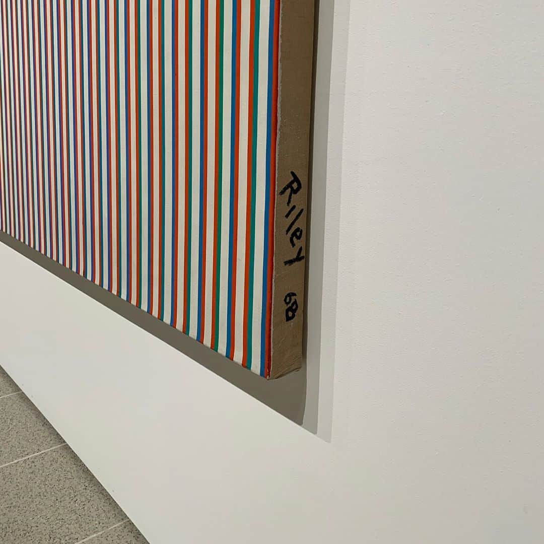 長谷川踏太のインスタグラム：「横からブリジット ライリー bridget riley from the side.」