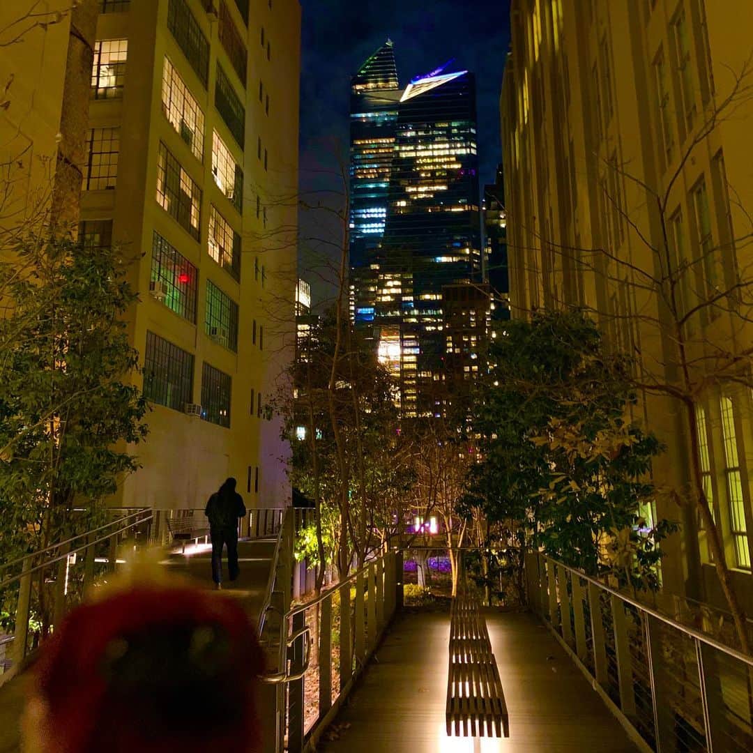 ころさんのインスタグラム写真 - (ころInstagram)「ころツーリスト in #アメリカ (#ニューヨーク ) . . おはようございます😆✨✨ . ニューヨークのザ・ハイラインと言う空中散歩出来る遊歩道など 😁✨✨ . 元々鉄道の線路として使われていた場所を2.3kmの遊歩道として再利用❗️ . ビルとビルの隙間に自然を感じながらニューヨークの街を歩けるのはここの1番の魅力😊✨✨ . ころの他の写真を見たい方はこちらから！  @koro.dottokoi .  #ころツーリスト #旅 #旅日記 #旅スタグラム #旅すたぐらむ #トラベラー #旅に出たい #旅の記録 #旅好き #旅写真 #旅行好き #旅したくなるフォト #旅フォト #マイトリ #旅行大好き #わんこ #ぬいぐるみ #ぬいどり #ぬい撮り写真部 #マイトリップ #旅の思い出 #旅の思い出 #ぬい撮り #ぬい撮りさんと繋がりたい #ぬいすたぐらむ」1月8日 8時08分 - koro.dottokoi