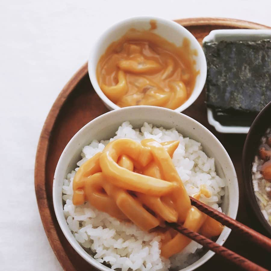 樋口正樹さんのインスタグラム写真 - (樋口正樹Instagram)「Today's breakfast . 今朝の朝ごはんは、 イカの塩辛、海苔、 なめこのお味噌汁。 . 久しぶりに作った 自家製イカの塩辛。 大好物１位ですが、 食べ過ぎ注意な品。 極めて減塩で作り、 今日に限り特別に。 . . #コレステロール #減塩 #イカの塩辛 #塩辛 #朝ごはん #朝食 #saltedsquid」1月8日 8時17分 - higuccini