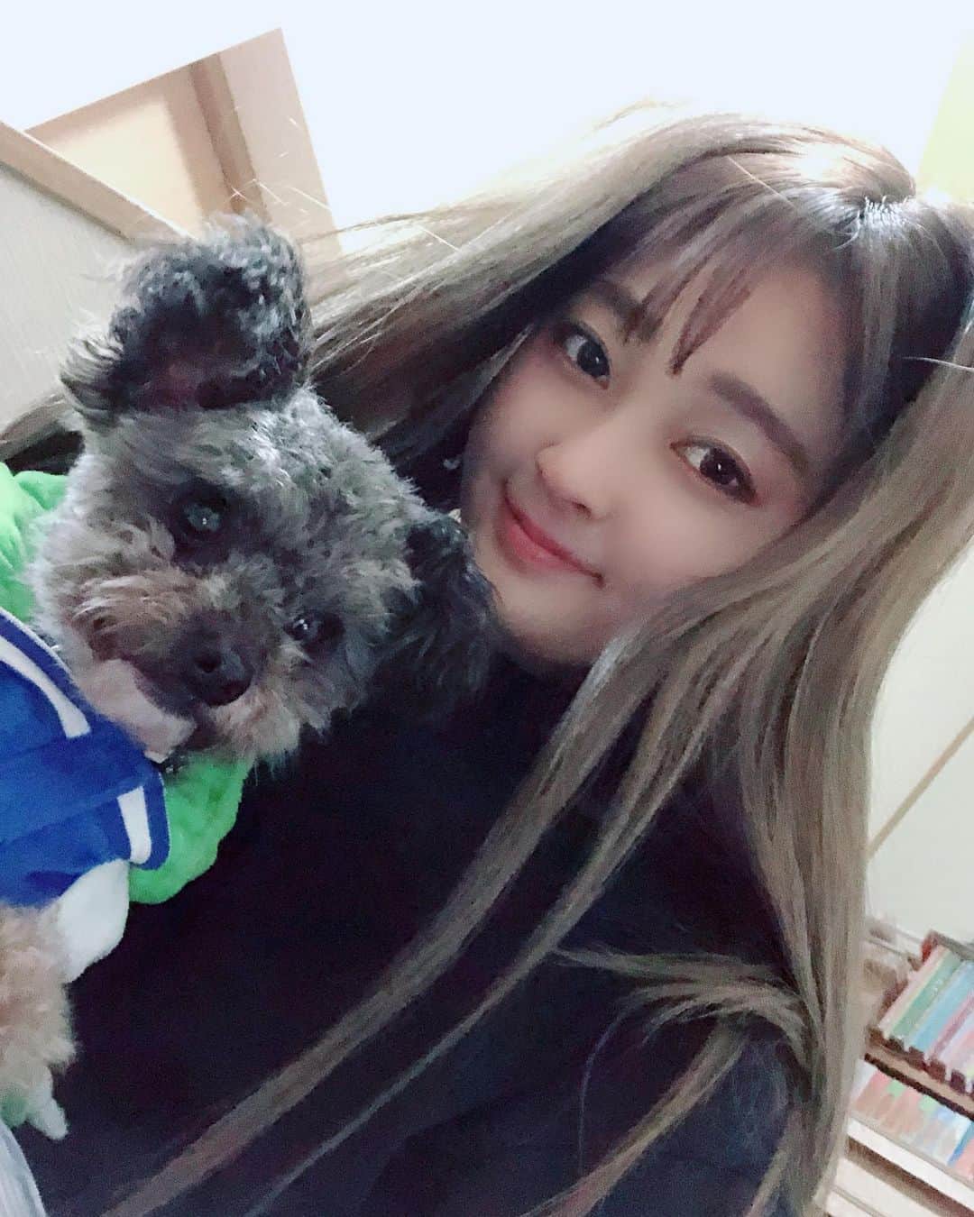朝比奈沙樹のインスタグラム：「あけましておめでとうございます㊗️ 本年度もよろしくお願いします🎍 . 今年は去年始めた事を安定させて、ダンサー戻れたらいいなぁと思っております！ 新年は久々に神戸で迎えさせて頂きました！ . 戻った際は応援してくれたら良いな！！ . たまにはクラブ行くのでその時は相手してください❤️ . . #あけおめ #愛犬  #좋아요 #소통환영 #팔로우환영」