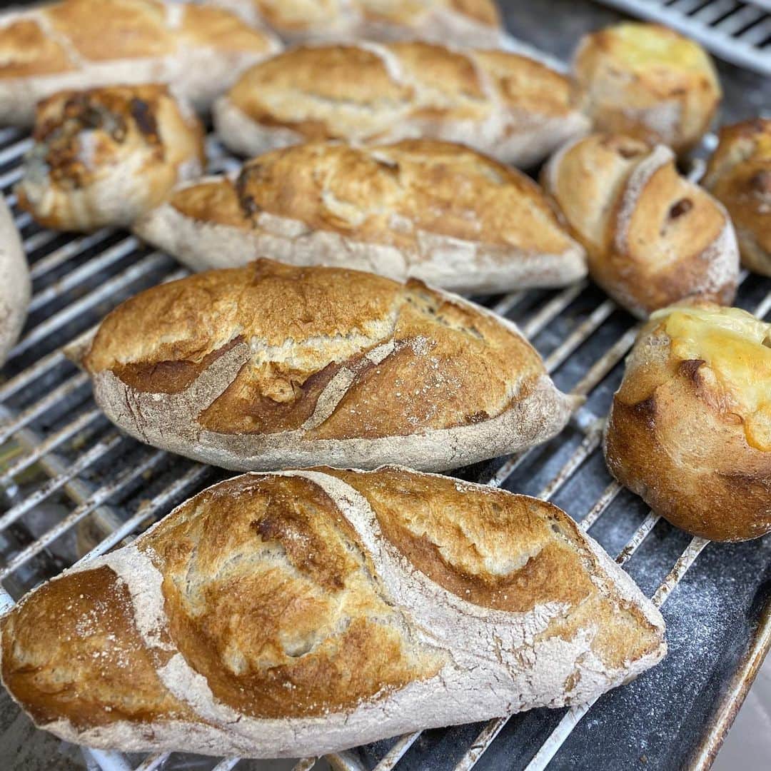 魔女菅原のグルメインスタ