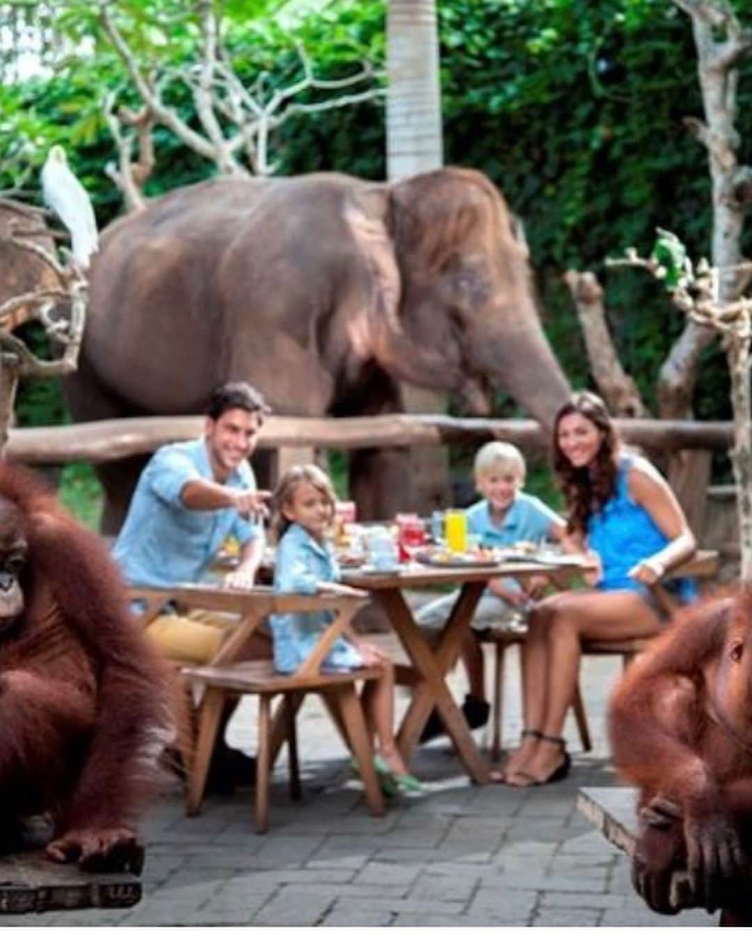 堀江直美さんのインスタグラム写真 - (堀江直美Instagram)「Baliに行くって決まってから息子がずっと会いたがっていたぞうさん🐘 * 生き物が大好きな3歳🧡 * 生き物克服中の6歳💔 * 本当は動物たちと食事←写真5枚目も検討しましたが娘が断固拒否。笑 * #バリ#バリ旅行#bali#balitrip#バリグルメ#家族旅行 #familytrip#男の子ママ#女の子ママ#年末年始旅行#hn✈️trip#seminyak#seminyakbali#seminyakfood#seminyakcafe#バリ島旅行#子連れ旅行#子連れ海外#子連れバリ#タビジョ#tabimuse#balizoo#3歳」1月8日 10時15分 - naomiiiiiiiiiiii