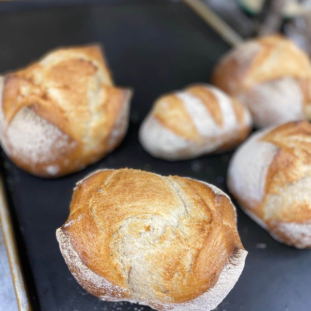 魔女菅原のグルメインスタ