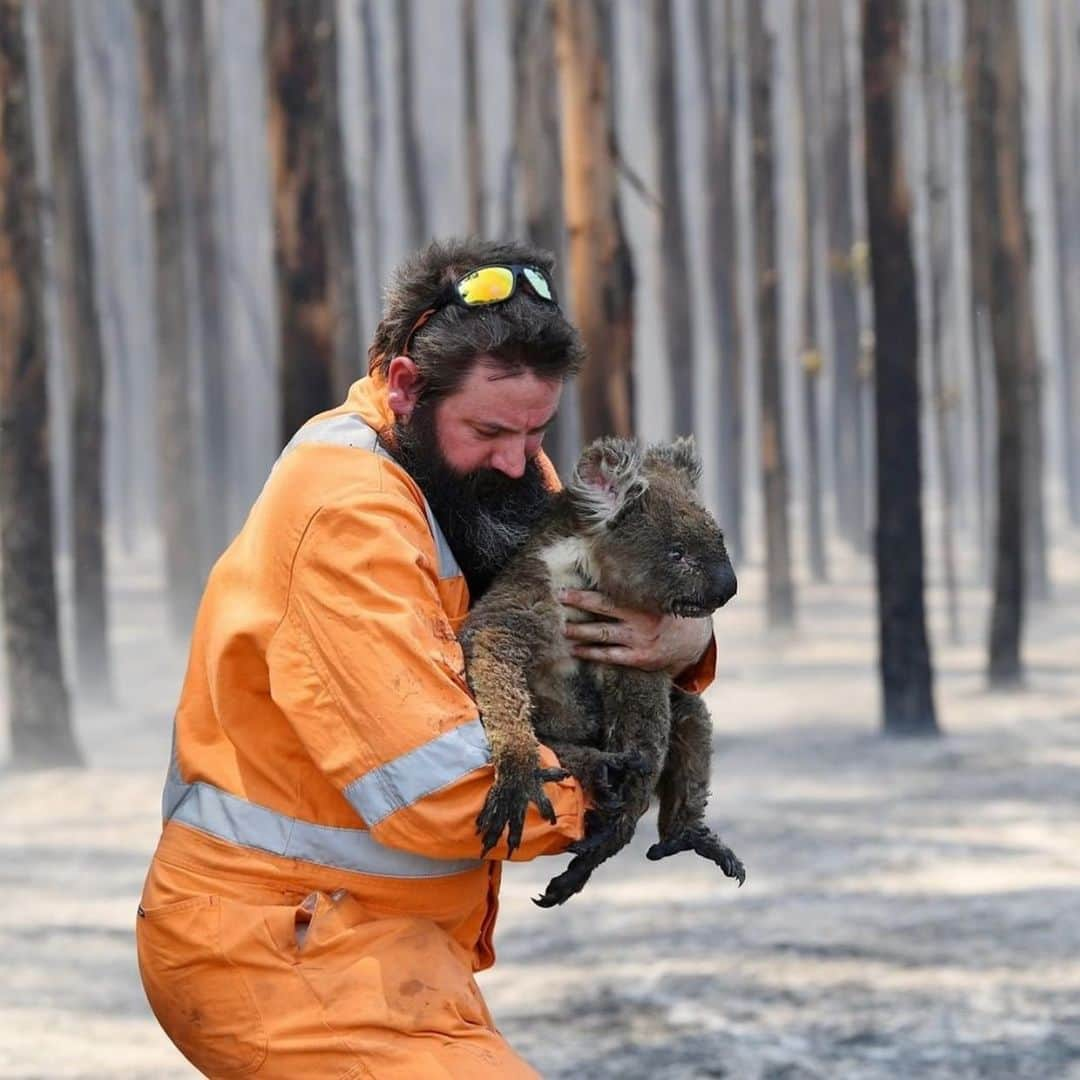 アン・カーティスさんのインスタグラム写真 - (アン・カーティスInstagram)「The other country I like to call home is burning. The devastation is heartbreaking and alarming. I was really praying for stronger rains to come and soothe the burning land but it looks like it’s going to be a sunny day here in Victoria and probably across the country. If you are like me, who wishes they could do more physically to lend a hand to the firemen, communities and animals but cannot... here are some accounts/sites you can visit to donate. A little goes a long way. So much love has been coming in from people locally and globally but the battle hasn’t ended and their is still so much do for communities, land and animals who have been affected by the monstrous bushfires. Let us pray for more rain across the country, temperatures to stay at a low, strength and high morale for the firemen and volunteers and for healing for all those affected 🙏🏼 @redcrossau @vinniesvictoria @cfavic @animalsaustralia @salvosau @wwf_australia」1月8日 10時55分 - annecurtissmith