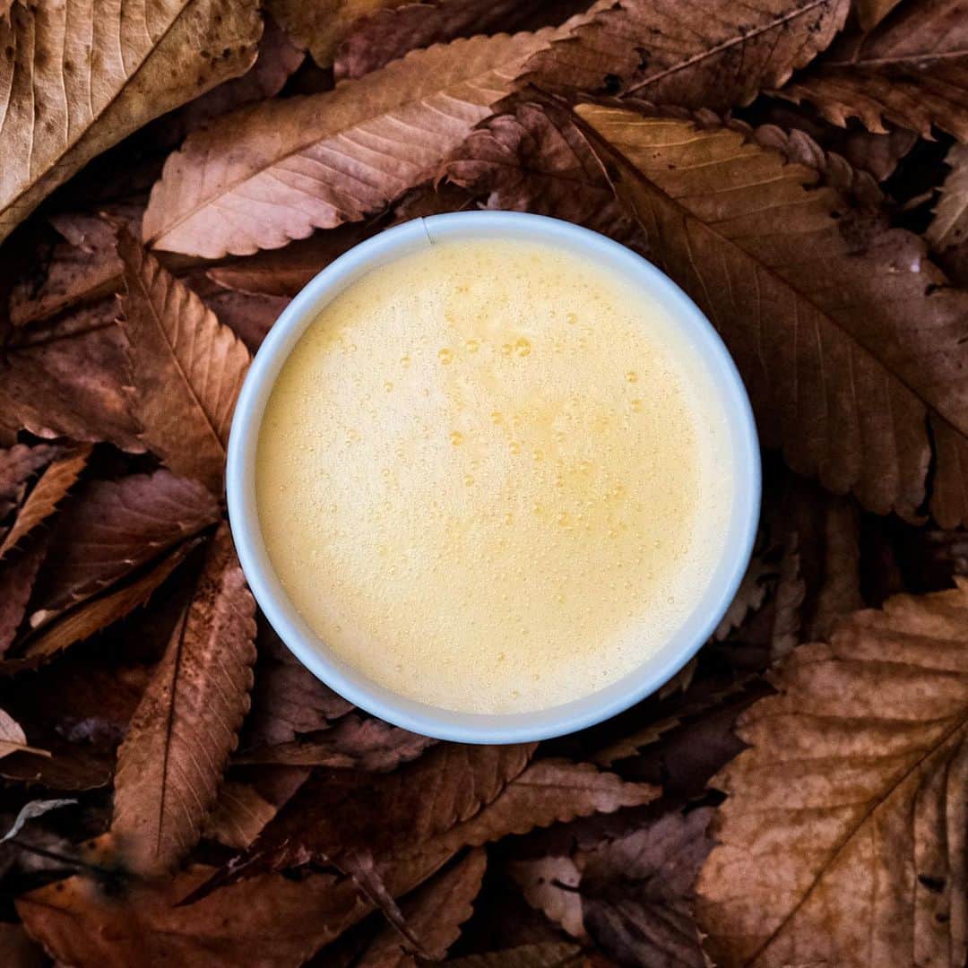 TRUNK(HOTEL)さんのインスタグラム写真 - (TRUNK(HOTEL)Instagram)「TRUNK(STORE)では、寒い季節に体を温めるホットスムージー「PUMPKIN CARROT」をご提供しています。 余計な調味料は使わずに、かぼちゃ本来の甘みとコクを低温スチームで引き出した、スープのように温かい飲み心地です。 ⠀⠀⠀⠀⠀⠀⠀⠀⠀ 栄養価の高いフルーツや野菜を手軽にチャージできるスムージー「KALE SPINACH」「ACAI BANANA」「STRAWBERRY BANANA」もご用意しています。 ⠀⠀⠀⠀⠀⠀⠀⠀⠀ ⠀⠀⠀⠀⠀⠀⠀⠀⠀ ⠀⠀⠀⠀⠀⠀⠀⠀⠀ #trunkhotel #ブティックホテル #boutiquehotel #trunkstore #smoothie #healthy #drink #shibuya #jingumae」1月8日 11時48分 - trunkhotel_catstreet
