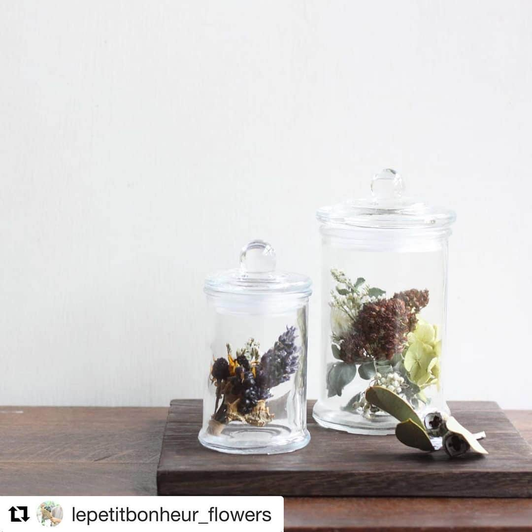 EINSHOP／アインショップさんのインスタグラム写真 - (EINSHOP／アインショップInstagram)「#Repost @lepetitbonheur_flowers with @get_repost ・・・ 1/11（土）出店のオープンデパート朝市(@634asaichi )。 ガラスの器に入ったプチブーケのようなドライフラワー。  束ねて入れているので、動かした際に植物の位置がずれて、「あれ、なんだかイメージ変わっちゃった」、ということもなく、飾っていただけます。  今年は、気軽に、花のある暮らし、はじめましょ！  minne(@minne_official )にも掲載しましたので、遠方の方は、minne販売サイトをご覧くださいね。 ————————————————————————————————- ＜ムサシオープンデパート朝市＞ 場所：加古川ウェルネスパーク北駐車場開催（加古川市東神吉町天下原３７０）※無料駐車場あり 日時：1/11（土） 時間：9:00-15:00 この日の出店者情報はこちら https://www.634asaichi.com/entry/2020/01/11  minne販売サイト https://minne.com/@hana-bonheur  #朝市 #オープンデパート朝市 #イベント #兵庫 #加古川 #宝殿 #高砂 #ドライフラワー #一輪差し #ナチュラル #花のある暮らし #植物のある暮らし #インテリア #花 #オーダーメイド #オーダーメイドフラワー #ミンネ #minne #上田さやか #ルプティボヌール #driedflowers #lepetitbonheur」1月8日 12時28分 - 634asaichi