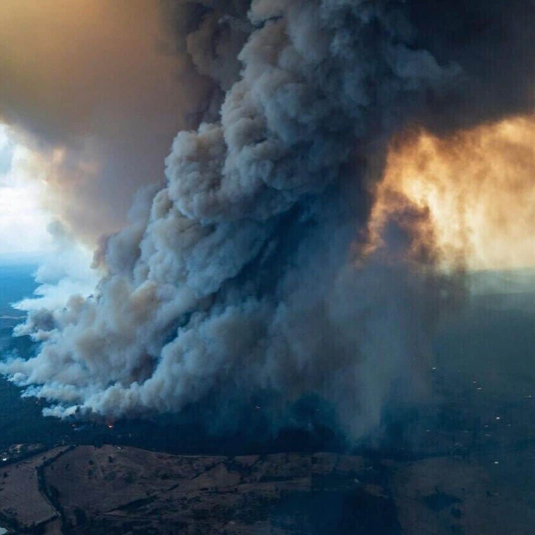 ベラ・ハディッドさんのインスタグラム写真 - (ベラ・ハディッドInstagram)「1 billion living creatures dead or injured. Some being incinerated by flames and some choking on smoke to death... their habitats are being demolished and at this rate, koalas will go extinct. @lachlanbailey started a fundraiser with the amazing people at @wireswildliferescue who have been taking in, taking care and giving shelter to any animals in need especially during these horrific months of non stop fire. WIRES is a non- profit , and I’m sure financial aid would be beneficial right now so they can continue to care for these animals. The animals are most likely coming in at an insanely rapid pace right now. I am so sorry Australia 😔 I am sending so much love to you and I am praying this will be over soon... I will be looking for more places to donate , and if you look further down my page, I posted a link where you can donate TREES to the Australian forests. Anything helps... even if you can’t donate today, you can help spread the word and educate your friends! These babies need us 🙏🏽✨♥️」1月8日 12時34分 - bellahadid