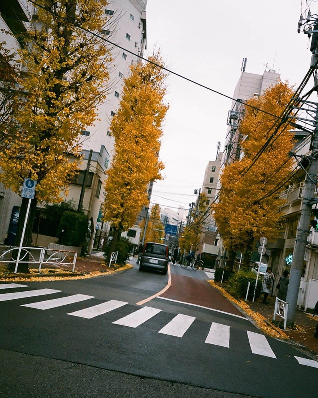 福岡聖菜さんのインスタグラム写真 - (福岡聖菜Instagram)「久しぶりの。  ちょっと前の話だけど 久しぶりに @amiyumoto_official と フィルムカメラ持ってお散歩したんだ。 たくさん撮った写真あるから 今日から少しずつ…  3、4枚目の傘が同じなのは あみが傘持ってなくて 相合傘したからなんだ😌☂️ * * 冬の雨は寒すぎたなぁ…  #フィルムカメラ　 #フィルムカメラに恋してる  #中目黒　#ブラウンコーデ #雨の日」1月8日 22時42分 - seina___ff