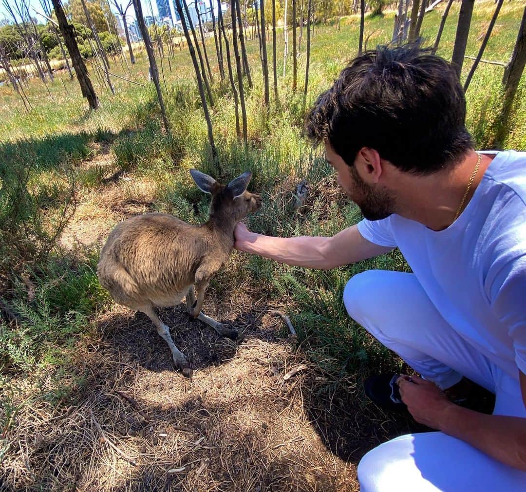 のインスタグラム：「❤️🇦🇺🦘」