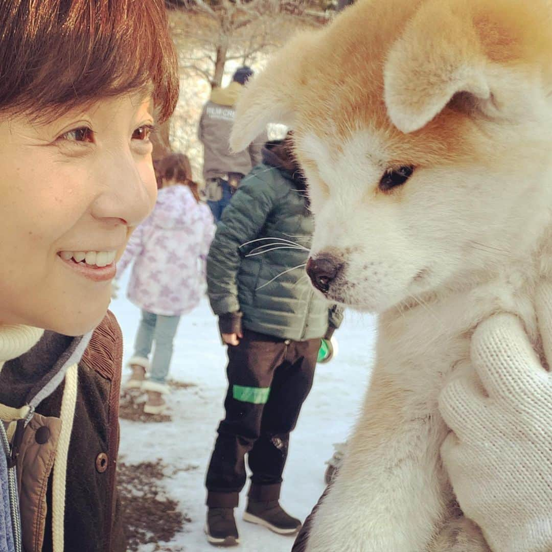 藤田朋子さんのインスタグラム写真 - (藤田朋子Instagram)「そして秋田犬🐕 映画の撮影です 仔犬の秋田犬🐕が数頭 個人宅の庭に放たれた秋田仔犬ちゃん達に、そこにいるすべての人達は、目尻を下げて、抱いたり、あやしたり、膝をついて目線を合わせたり🐕💕 現場に慣らす為の時間は、日々の撮影で、お疲れのクルーの心を和やかに、健やかにしてくれちゃった時間になりました  #秋田犬 #ハチ公 #秋田県 #癒しの犬 ＃パルマ #日本犬 #akita #akitadog #film #movies #tomokofujita #actress #令和　 #モフモフ #もふもふ　#忠犬」1月8日 23時15分 - chiendormant