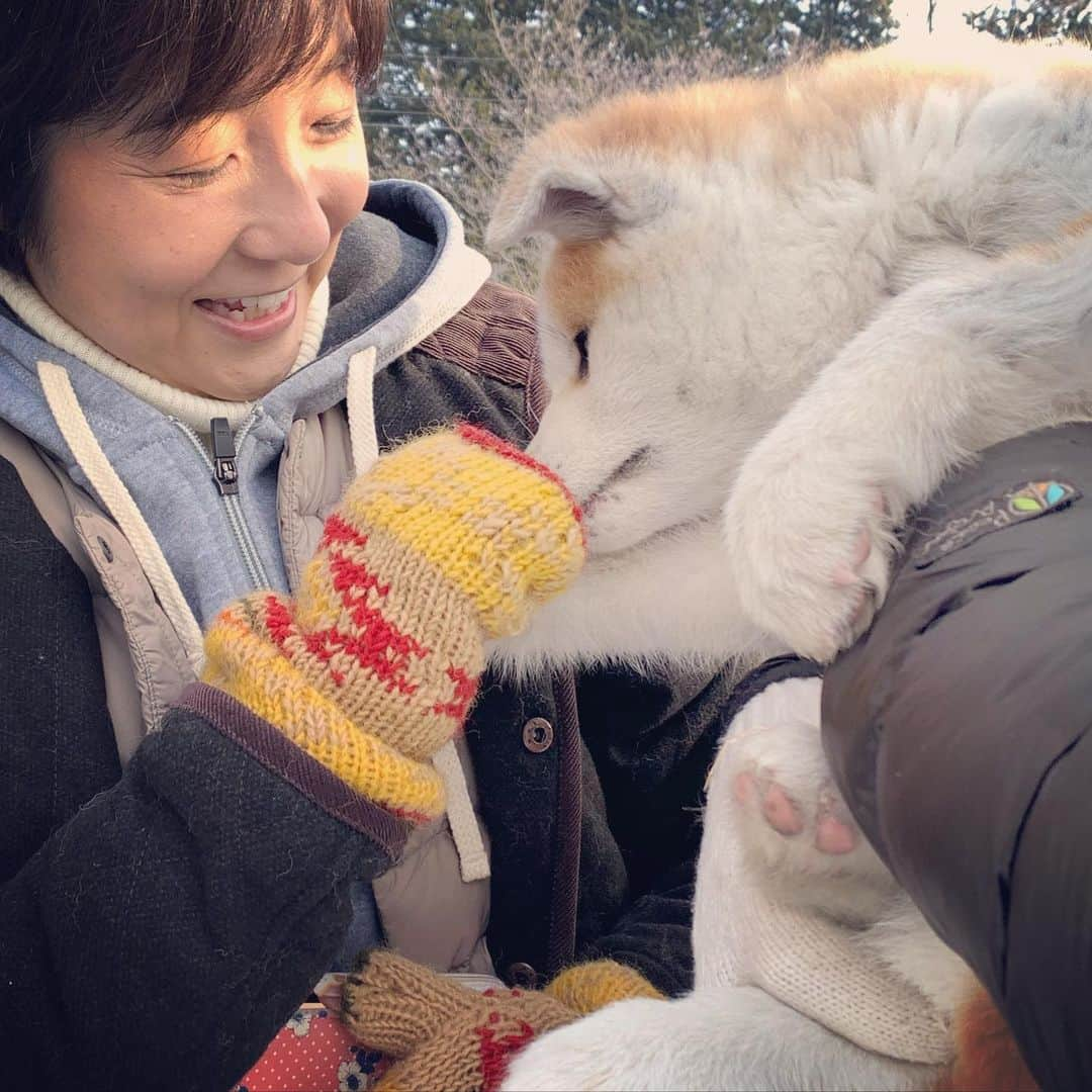 藤田朋子さんのインスタグラム写真 - (藤田朋子Instagram)「そして秋田犬🐕 映画の撮影です 仔犬の秋田犬🐕が数頭 個人宅の庭に放たれた秋田仔犬ちゃん達に、そこにいるすべての人達は、目尻を下げて、抱いたり、あやしたり、膝をついて目線を合わせたり🐕💕 現場に慣らす為の時間は、日々の撮影で、お疲れのクルーの心を和やかに、健やかにしてくれちゃった時間になりました  #秋田犬 #ハチ公 #秋田県 #癒しの犬 ＃パルマ #日本犬 #akita #akitadog #film #movies #tomokofujita #actress #令和　 #モフモフ #もふもふ　#忠犬」1月8日 23時15分 - chiendormant