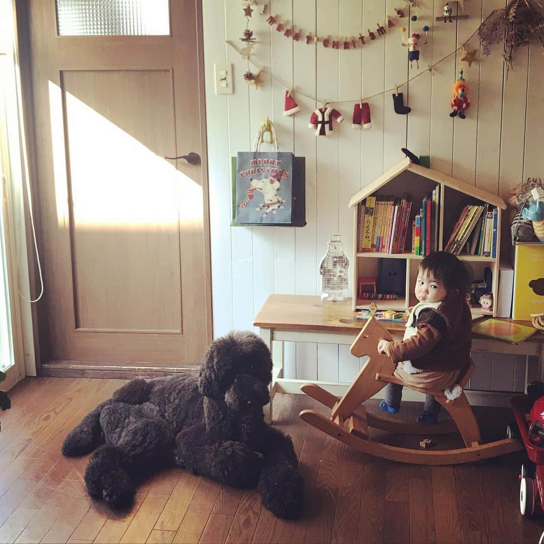 たまねぎのインスタグラム