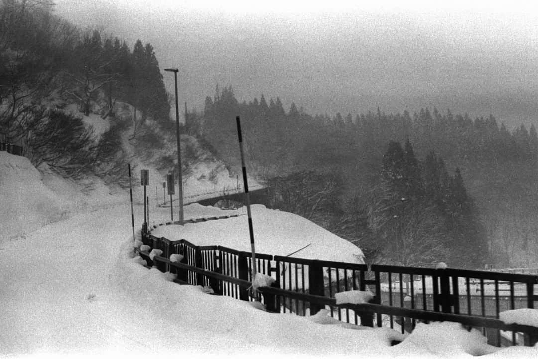 田島貴男さんのインスタグラム写真 - (田島貴男Instagram)「雪山にて #フィルムカメラ #nikonf #autonikkor50mmf14  #trix400 #自家現像」1月8日 15時10分 - tajimatakao