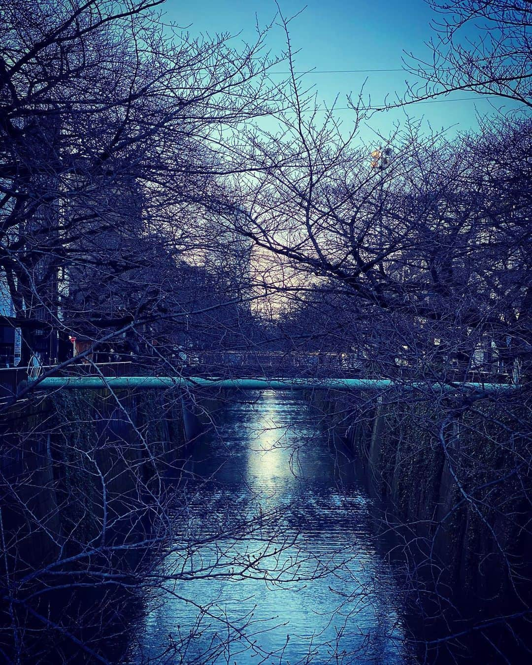 谷川じゅんじさんのインスタグラム写真 - (谷川じゅんじInstagram)「Twilight Tokyo.  雨上がりの夕暮れ。あまりに大きなニュースが多すぎて平穏に鈍感化する毎日。流されずに泳ぎきりたい。春には桜がまってるはず。#goodvibesonly  #goodneighbors #nakamestyle #nakamelife #thisistokyo #thisisjapan」1月8日 15時53分 - junjitanigawa