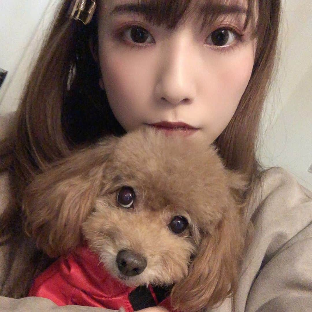 まぁむさんのインスタグラム写真 - (まぁむInstagram)「♡ . . ルナソルのクリスマスコフレをやっと使ってみたので載せます❤️ . . ■Holiday Favorite Collection 2019  今年は、リップが2本入ったパーティコフレ。 深みのあるカラーと輝きをまとう冬の浄化メイクで、ホリデーシーズンにふさわしい特別な表情に仕上げます。 アイカラーレーション EX03 Mysterious Mood ドレスフォーリップス（グロス） EX01 Moonlit Dust スキニーカラーグロウ EX01 Juniper Berry オリジナルポーチ . . . とのことです💡 去年は結構普段使いやすい色だったけど、今回はパーティーなんかにも使えそうなキラキラでかわいい色😍 . . . 四枚目に私なりの使い方を載せたので補足を書いておきます！ ①aを目のキワからアイホールにぼかす ②aとdをまぜて二重幅にのせる ③cをアイホールの真ん中らへんにのせて立体感をだす ④bを目頭と下瞼にのせる ⑤dを目尻から1/3くらいにのせる . . . 色んな使い方出来そうですね❤️ リップはすごい落ち着いた色で 大人っぽくなれるし、ブラウン系のリップあまり持ってなかったので嬉しい( ◜◒◝ )♡ 沢山使おうと思います！ . . . マスカラはUZUモテマスカラのバーガンディをつかいました！ カラーのマスカラかわいいー！ . . . #ルナソルクリスマスコフレ #ルナソル #lunasol #クリスマスコフレ #クリスマスコフレ2019  #cosmetics #cosme #コスメ #Christmas #アイシャドウ #リップ #uzu #モテマスカラバーガンディ #カラーマスカラ#モテマスカラ#アイカラーレーション#アイカラーレーションEX03#ドレスフォーリップス#ドレスフォーリップスex01#スキニーカラーグロウ」1月8日 16時03分 - maamland