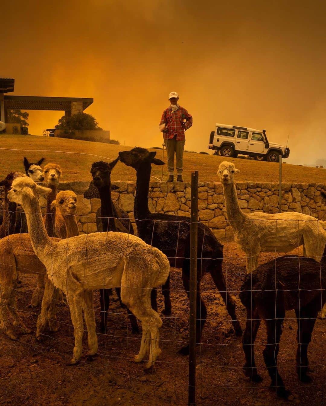 MOYAさんのインスタグラム写真 - (MOYAInstagram)「日本のメディアではなかなか報道されていない オーストラリアの森林火災について。 現時点で5億以上の動物たちが命を落とし 約500万ヘクタールもの面積が燃えてしまい、 いまだに延焼し続けているようです😔 気温40度を超える中、 連日3000人以上の消防士さんたちが 消火活動にあたっています。 #bushfireaustralia などのタグに飛ぶと とても厳しい現状が見えてきます😢  日本でも自然災害は常に隣り合わせのリスクで 明日は我が身、人ごととは思えません。 ほんの少しでも力になれるようにと 自分のできる範囲で募金とシェアをします。 募金についてはリンク付きのストーリーズを ハイライトに残したのでよかったら見てください🙏🏾 森林火災についてもわかりやすく解説されている記事です。  自然豊かで大好きなオーストラリアが 早く元気になりますように🇦🇺 . #prayforaustralia #helpaustralia」1月8日 17時16分 - moyamoya2121