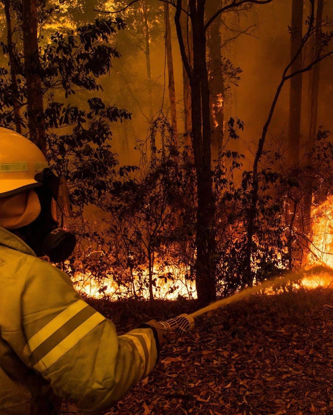MOYAさんのインスタグラム写真 - (MOYAInstagram)「日本のメディアではなかなか報道されていない オーストラリアの森林火災について。 現時点で5億以上の動物たちが命を落とし 約500万ヘクタールもの面積が燃えてしまい、 いまだに延焼し続けているようです😔 気温40度を超える中、 連日3000人以上の消防士さんたちが 消火活動にあたっています。 #bushfireaustralia などのタグに飛ぶと とても厳しい現状が見えてきます😢  日本でも自然災害は常に隣り合わせのリスクで 明日は我が身、人ごととは思えません。 ほんの少しでも力になれるようにと 自分のできる範囲で募金とシェアをします。 募金についてはリンク付きのストーリーズを ハイライトに残したのでよかったら見てください🙏🏾 森林火災についてもわかりやすく解説されている記事です。  自然豊かで大好きなオーストラリアが 早く元気になりますように🇦🇺 . #prayforaustralia #helpaustralia」1月8日 17時16分 - moyamoya2121