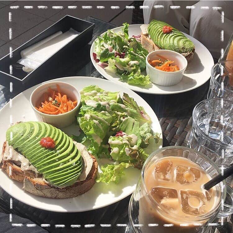 「SNOW」顔認識カメラアプリさんのインスタグラム写真 - (「SNOW」顔認識カメラアプリInstagram)「#カフェ巡り﻿ ﻿ 🥑Cafe Le Pommier(表参道)﻿ ﻿ オープンサンドが話題のカフェ🌟﻿ きれいに並んだアボカドは美容効果も☺️﻿ ﻿ #表参道カフェ#アボカド#オープンサンド#カフェルポミエ#明治神宮前カフェ#映え#写真加工﻿ #加工#東京グルメ﻿」1月8日 18時09分 - snow_japan