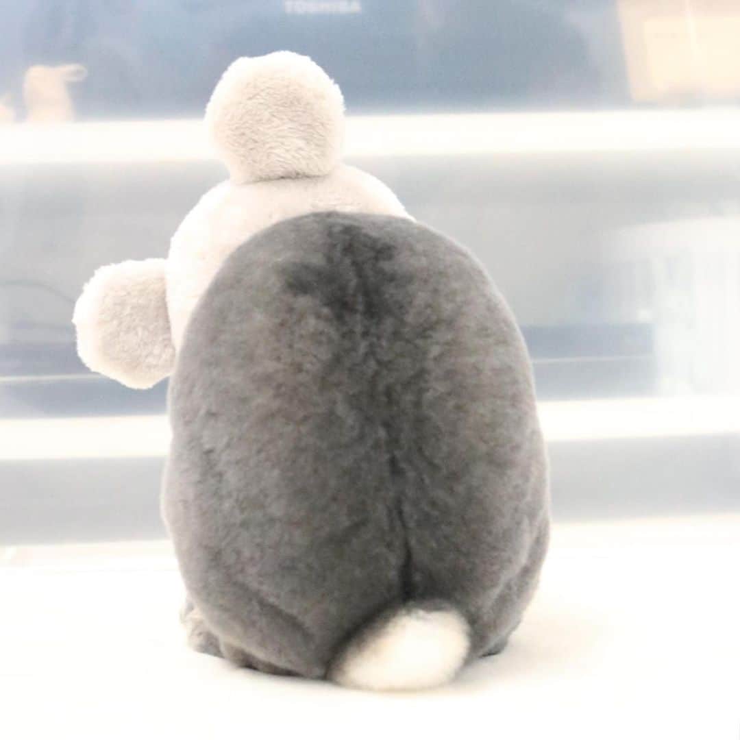 Kayoのインスタグラム：「後ろ姿かわいい件♡ ・ ・ のんびり現実逃避から現実に↩️ 黒い箱に入ったら出国できるとかびっくり‥ ずるいぜ！ごぉぉおーん！」