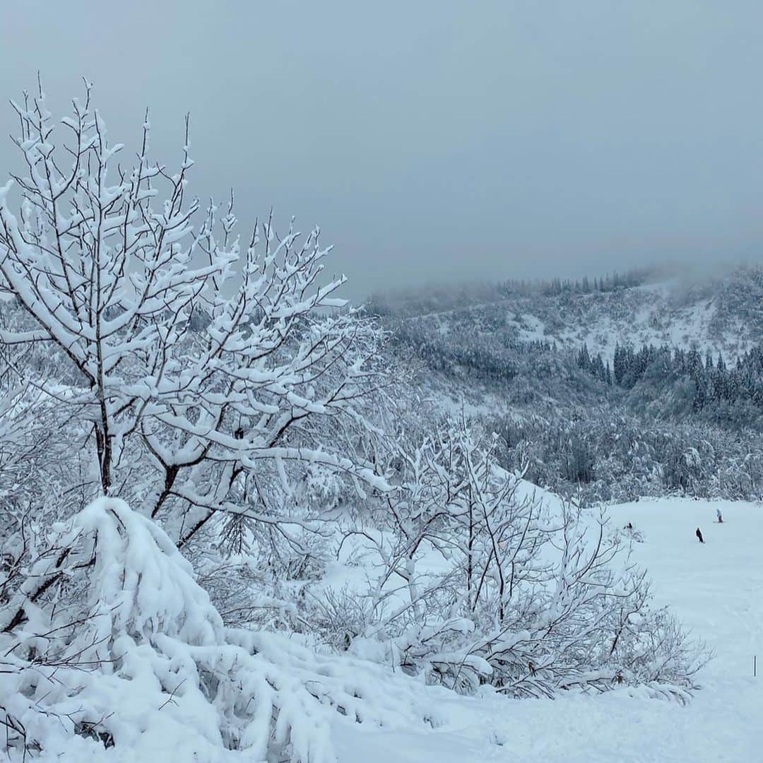 佐々木彩乃さんのインスタグラム写真 - (佐々木彩乃Instagram)「ウェアは去年の　@roxyjapan ❄️❤️ ボードは　@salomon ！ #snowboarding #roxy #snowboard #salomon #スノボ」1月8日 20時07分 - ayano__sasaki