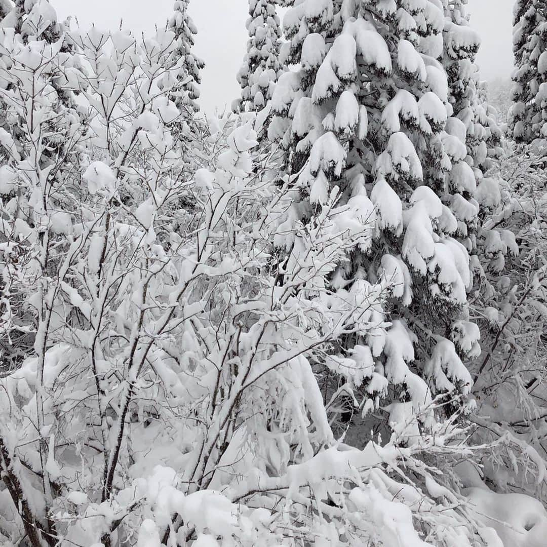 佐々木彩乃さんのインスタグラム写真 - (佐々木彩乃Instagram)「ウェアは去年の　@roxyjapan ❄️❤️ ボードは　@salomon ！ #snowboarding #roxy #snowboard #salomon #スノボ」1月8日 20時07分 - ayano__sasaki