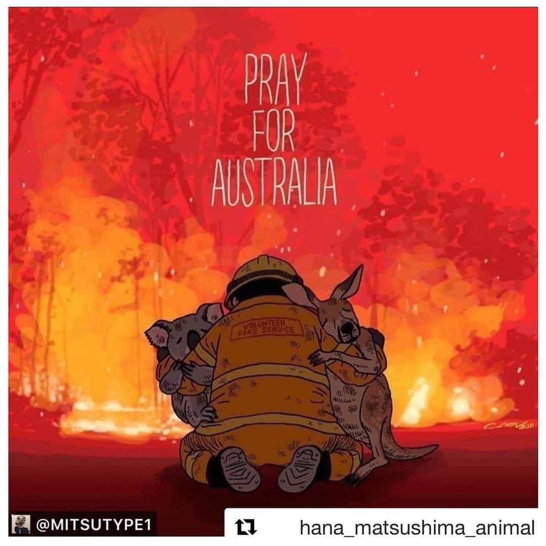 滝川クリステルさんのインスタグラム写真 - (滝川クリステルInstagram)「リポストします。 募金することしかできないですが、 これ以上の被害が広がらないことを願うことしかできません、、 アマゾン火災に続き、オーストラリア火災。動物たちの住処がどんどん奪われていく現実は、心が痛くてたまりません🙏  Repost @hana_matsushima_animal with @get_repost ・・・ : オーストラリア在住の @mitsutype1 さんのリポストです‼️ . 皆さんもニュースなどでご存知だと思いますが… 昨年から続いているオーストラリアでの森林火災。 既に5億匹もの野生動物の命が失われたと報道されています。 . 北海道の面積くらいの広さが焼失しているそうです。 . 野生動物を助けて頂いている保護団体の募金先を日本語でもわかるように編集してシェアしてくださっています‼️‼️ . 何かしたいけど、何をしたらよいかわからない方❗️ 是非、参考にして下さい🙏 . よろしくお願いします🙏🙏🙏 . . #花アニマル #オーストラリア森林火災 #私にできること #自分にできること #拡散お願いします . . @mitsutype1 #Regram #Repost via @PackeDApp #PackeDApp オーストラリアの山火事の影響で、5億頭以上の動物達が命を落としているとの報道を見ました。 : 逃げ回るコアラの映像は見るに耐えない光景で、ニュースを観るたびに悲しくて涙がこぼれ胸が締め付けられる思いです。 : そして何もできない自分にも悲しくなりました。 : 赤十字や消防団体以外にも、苦しんでいる野生動物達の為に WIRES (Australian Wildlife Rescue Organisation、オーストラリア最大の野生生物の救助とリハビリテーションの慈善団体)が 負傷した動物達の命を助けようとしており、私たちも日本からでもスマホでここに募金をして協力することができます！ : 微力ですが、英語がわからない人でも簡単に募金ができるよう、サイトのページを訳してみました。 : https://www.wires.org.au/donate/emergency-fund : もしくは”wires donation bushfire”で検索をすると出てきます。 : 何かできることがないかな、と思っていた方には是非参考にしていただけたらと思います！ : 私も募金しました。リポスト、拡散などの協力もしていただけたら嬉しいです。 : 1匹でも多くの動物が助かりますように。そして動物達が辛い状況から一刻も早く抜け出せますように。 : #オーストラリア火災#コアラ募金#オーストラリア」1月8日 20時10分 - christeltakigawa
