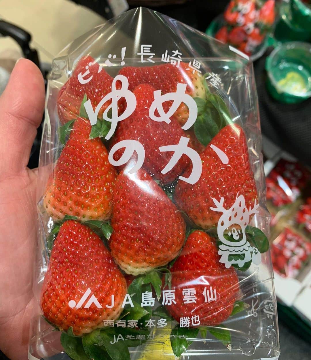 江越大賀のインスタグラム：「あけましておめでとうございます 叔父が作ってる苺が関西のスーパーに売ってました！ 『ゆめのか』という苺です！ 僕も小さい頃から食べてます！ おいしいので皆さんも見つけたら食べてみてください🍓 #ゆめのか #おいしい #苺 #いちご #本多勝也」