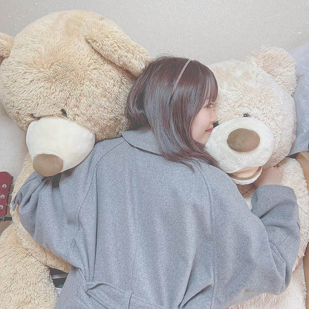 山根涼羽さんのインスタグラム写真 - (山根涼羽Instagram)「・ ・ 左がくしゃみで右が定食 🐻💭🐻💭 あ。名前の事。😉 ・ ・ #🐻 #くま #bear #ぬいぐるみ  #costco #コストコ #コストコ購入品  #コストコくま」1月8日 21時51分 - suzuha48yamane16