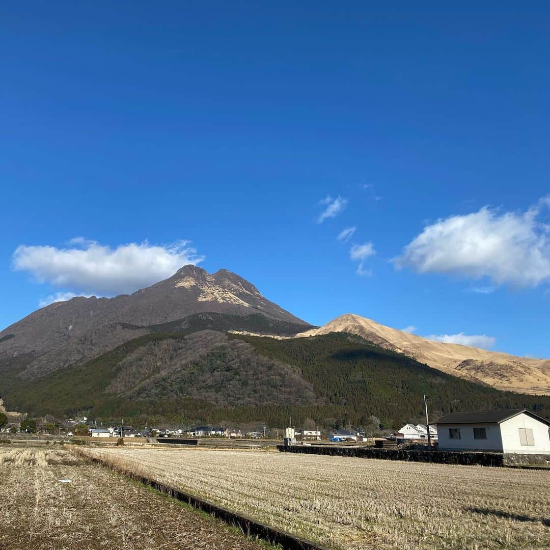 沙田瑞紀さんのインスタグラム写真 - (沙田瑞紀Instagram)「お正月🎍既に遠い昔のようだな... のんびりできてよかったdes  みなさま気をぬいて風邪など引かぬよう。日々前に進もうぞ。おみそはん結婚おめでとう〜☺️」1月8日 21時48分 - mizuki_masuda