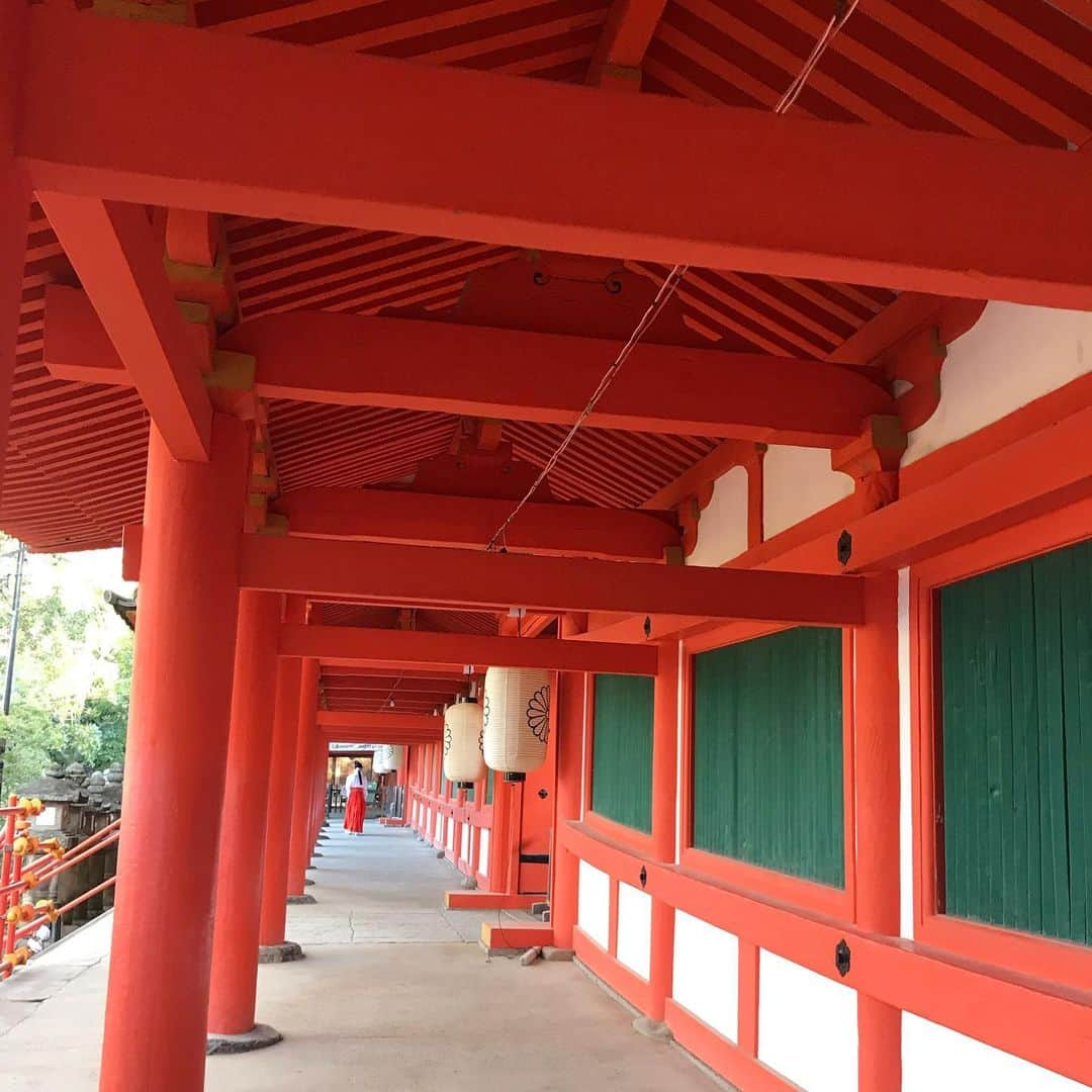 長澤彩子のインスタグラム：「⛩神社巡り⛩ 祖父の神社で昔よく遊んでいた影響で、お参りをすると心が落ち着きます。  奈良の #春日大社 では朝一で厄払いを（大厄どんとこい🦌） #石上神宮 ではお世話になった皆さんへの祈願を🐓  阿修羅像や大仏など国宝が身近にあるので、奈良県民だったら日本史が得意になっていた…はず🤓  #奈良 #shrine #kasugataisha  #isonokamijingu  #beautifuljapan  #nara」