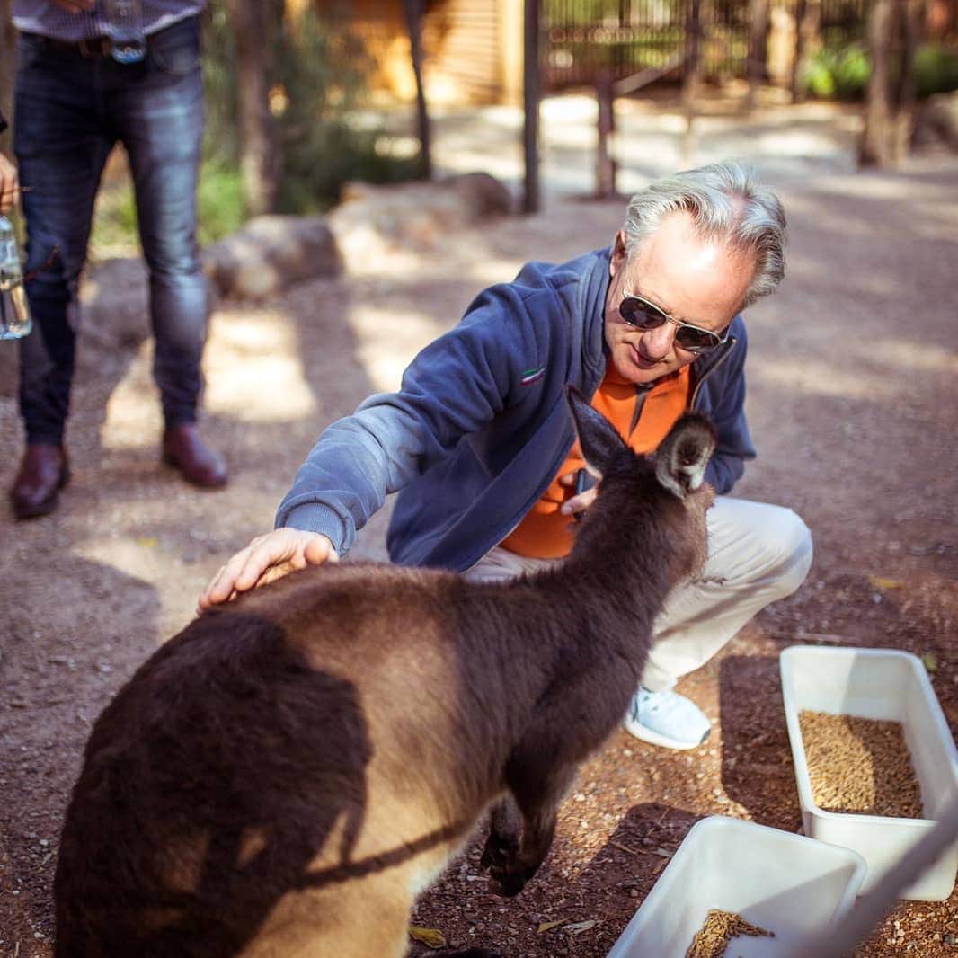 パガーニ・アウトモビリのインスタグラム：「We would like to support Australia and all the people that in this moment are struggling to save this beautiful land, that we had the chance to discover during one of our last Pagani Raduno and instantly loved. Our thoughts are with you.  #pagani #hp #downunder #australia」