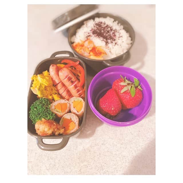 前田ゆかのインスタグラム：「今日からお弁当！ ＊ ＊ ＊ お弁当箱新しくしてスタート。 #男子弁当 #お弁当 #bento #maeyukabento  #フルーツ男子 #高校生弁当」