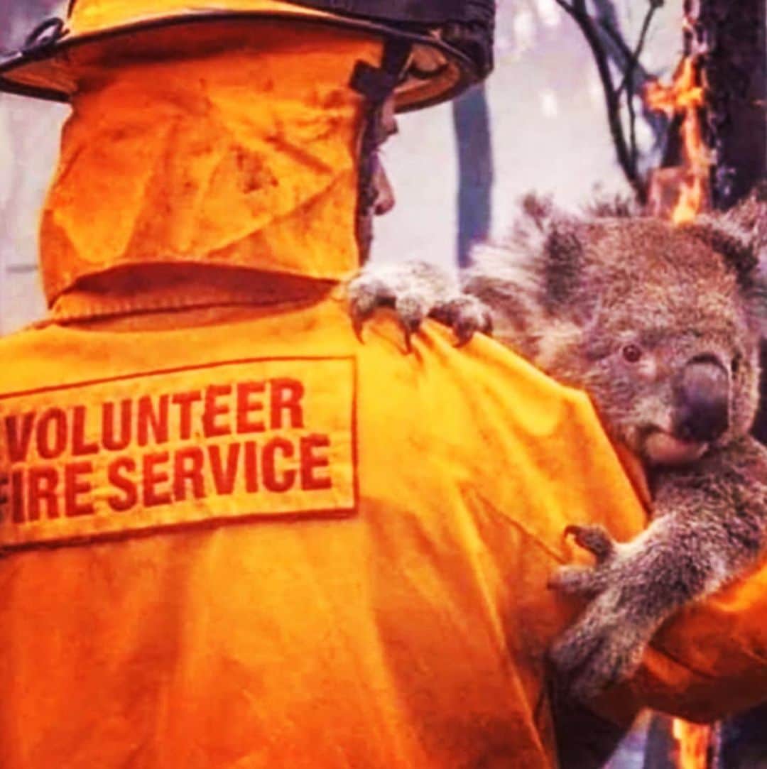 のインスタグラム：「思ってるだけで行動しなきゃ伝わらないよ。  @redcrossau  #prayforamazonia」