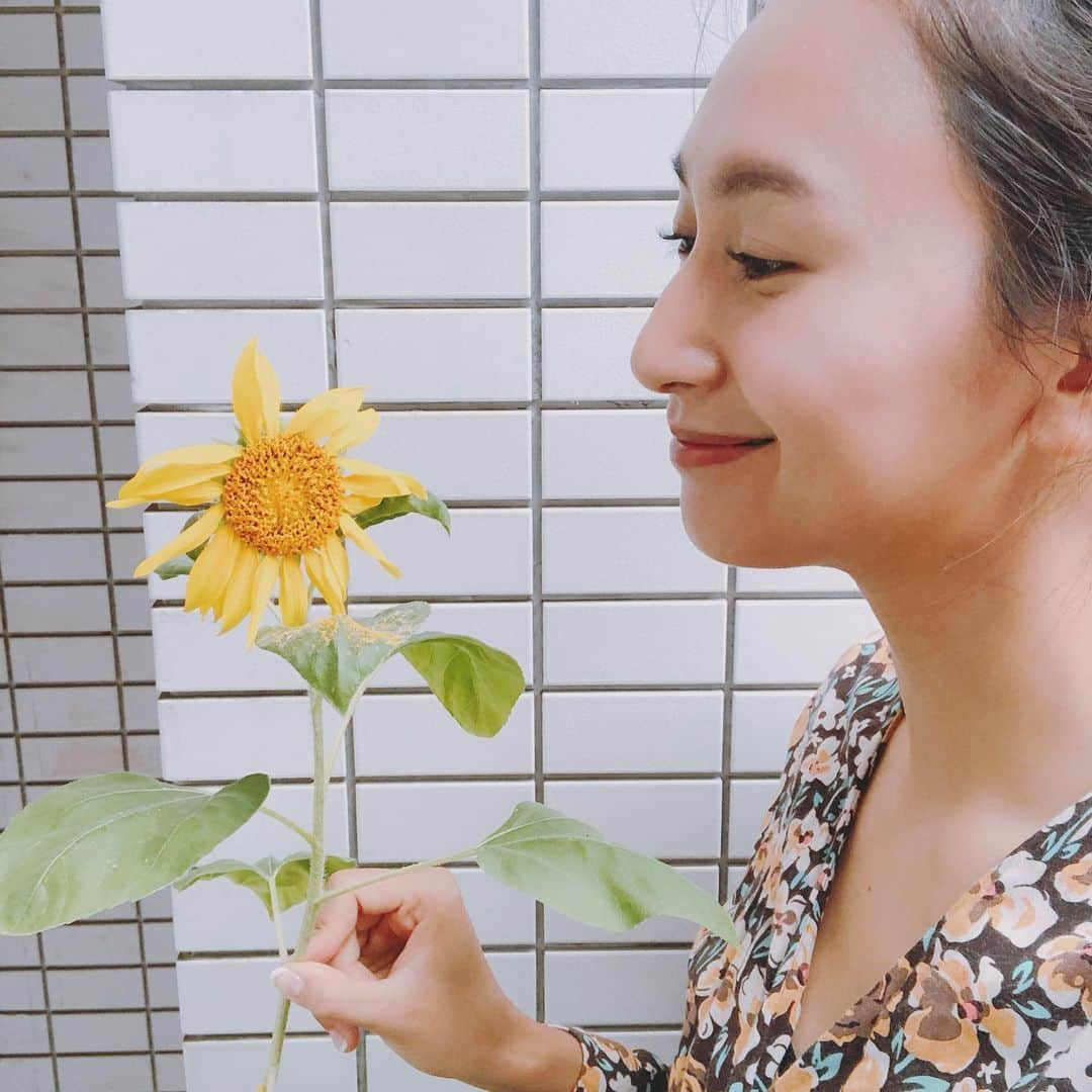 山本まさみさんのインスタグラム写真 - (山本まさみInstagram)「・ ひまわり大作戦 in まさみんち🌻  私は今年で3回目の参加です。 一夏みんなのひまわりで繋がろうって企画！  街でひまわりが咲いてると、 あれ？！サラダファミリーかな？？って思ったり、何気ない日常がすこーし楽しくなったり☺️ 今年は台風や強風で、うちのひまわりちゃんが折れたりしたけど、生命力ってすごい！！！ ちゃんとひまわりを咲かせたんだから☺️ 頑張ってる姿をみると、 私も頑張ろうって思えるひまわり大作戦！  #bayfm #musicsalad #ひまわりさらだ」1月8日 23時54分 - masami_macho