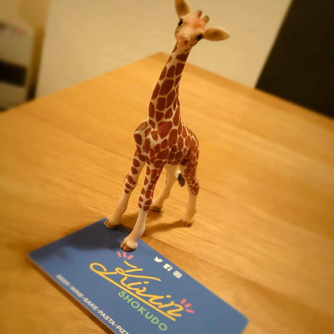 北川楓夏さんのインスタグラム写真 - (北川楓夏Instagram)「ずーっと気になっていた キリン食堂に初訪問🦒 . 病み上がりだったので あまりお酒が飲めなかったので 今度は浴びるだけ飲みに行きます😌 . パスタも気になるな〜🍝 サラダも鮮やかで美味しかった🥗 . お皿とかも全部オシャレ！ なにより安い😂 . #akita #dinning #女子会 #キリン食堂 #🦒 #南通」1月8日 23時56分 - fuka.kitagawa