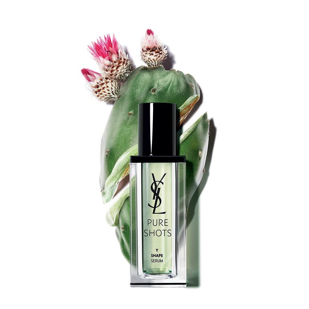 Yves Saint Laurent Beautyさんのインスタグラム写真 - (Yves Saint Laurent BeautyInstagram)「YSL Beauty Ourika Gardens, the garden of efficacy Exposed to both extremes of the Moroccan climate, the plants grown here are  powerful. Seen here is the barbary fig, which enriches the PURE SHOTS Y SHAPE SERUM to pair with peptides to strengthen the skin’s innate building mechanism to refine  the contours of the face.  PURE SHOTS Y SHAPE SERUM  #yslbeauty #ourikagardens #pureshots #livefaststayyoung」1月9日 3時47分 - yslbeauty