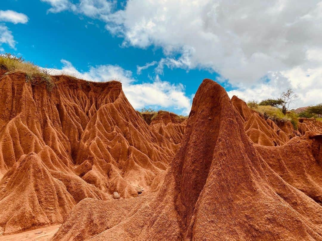 ジョアン・スモールズさんのインスタグラム写真 - (ジョアン・スモールズInstagram)「Dear Africa, I am forever grateful for your undeniable majestic beauty.  You are a reminder that there is a higher power. I’ve been blessed to witness and be in the presence of your harmony. I will be forever captivated by your stunning raw beauty. Thank you. #kenya ❣️」1月9日 4時35分 - joansmalls