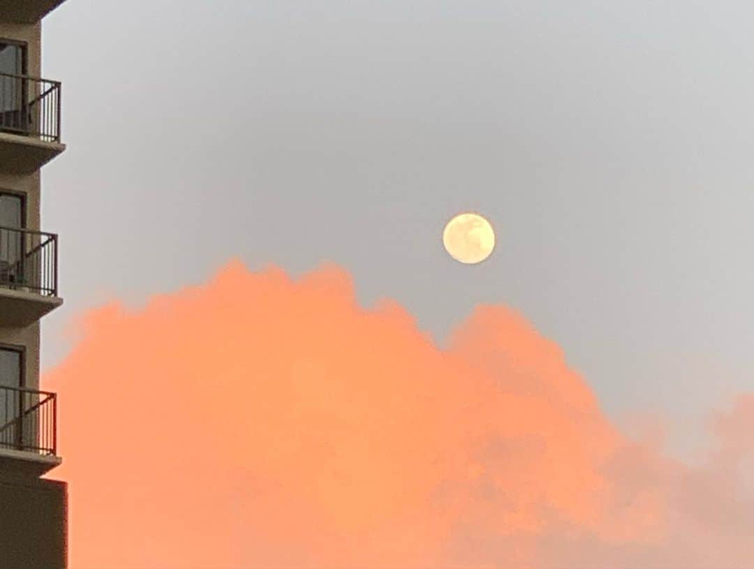 夏木マリさんのインスタグラム写真 - (夏木マリInstagram)「夕陽と月が一緒に見れるシアワセ！  #いまそら #holiday #natsukirock #夏木マリ@mari_natsuki」1月9日 18時12分 - mari_natsuki