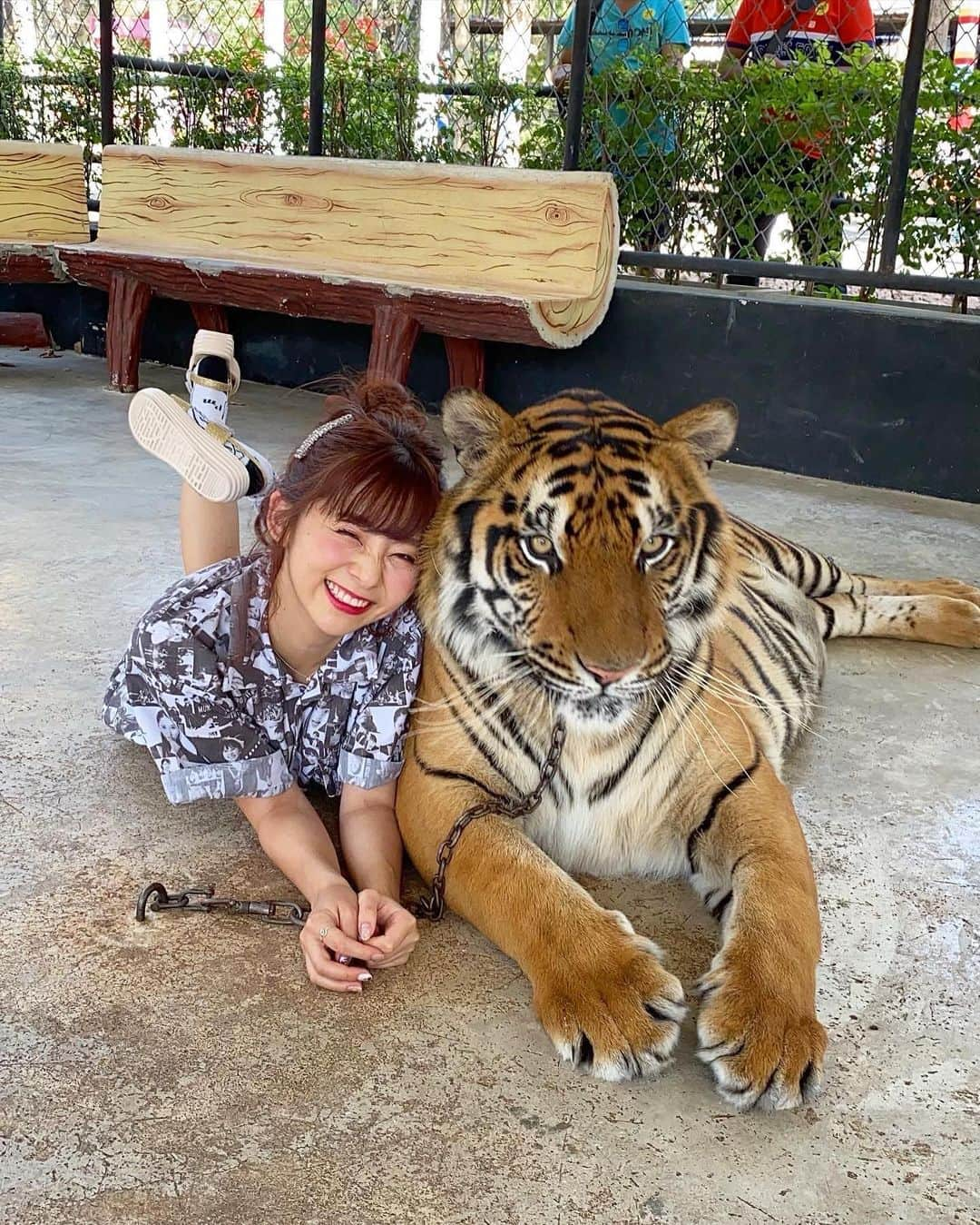 横田亜美さんのインスタグラム写真 - (横田亜美Instagram)「❤︎ 念願のお虎様🐅👑 . 行きたいところリスト5だよ✨ . 動物の中で1番好きなお虎様。 嬉しくて嬉しくて終始顔がニヤつく🤎 . 最後の動画はね、 まさか寝転がるなんて 思ってなかったから ももクロちゃんの服と靴下が 汚れてないか不安な顔w . 靴は汚れていいやつを現地調達✌️ . . #パタヤ #バンコク #タイ #虎 #タイガー #タイ旅行 #バンコク旅行 #宝物 #ももクロ #モノノフ #ももいろクローバーZ #無加工 #無加工グラム #ノーマルカメラ #158cm #pattaya #bankok #tiger #iphone11pro #モノノフあみみ」1月9日 17時42分 - amimi0218